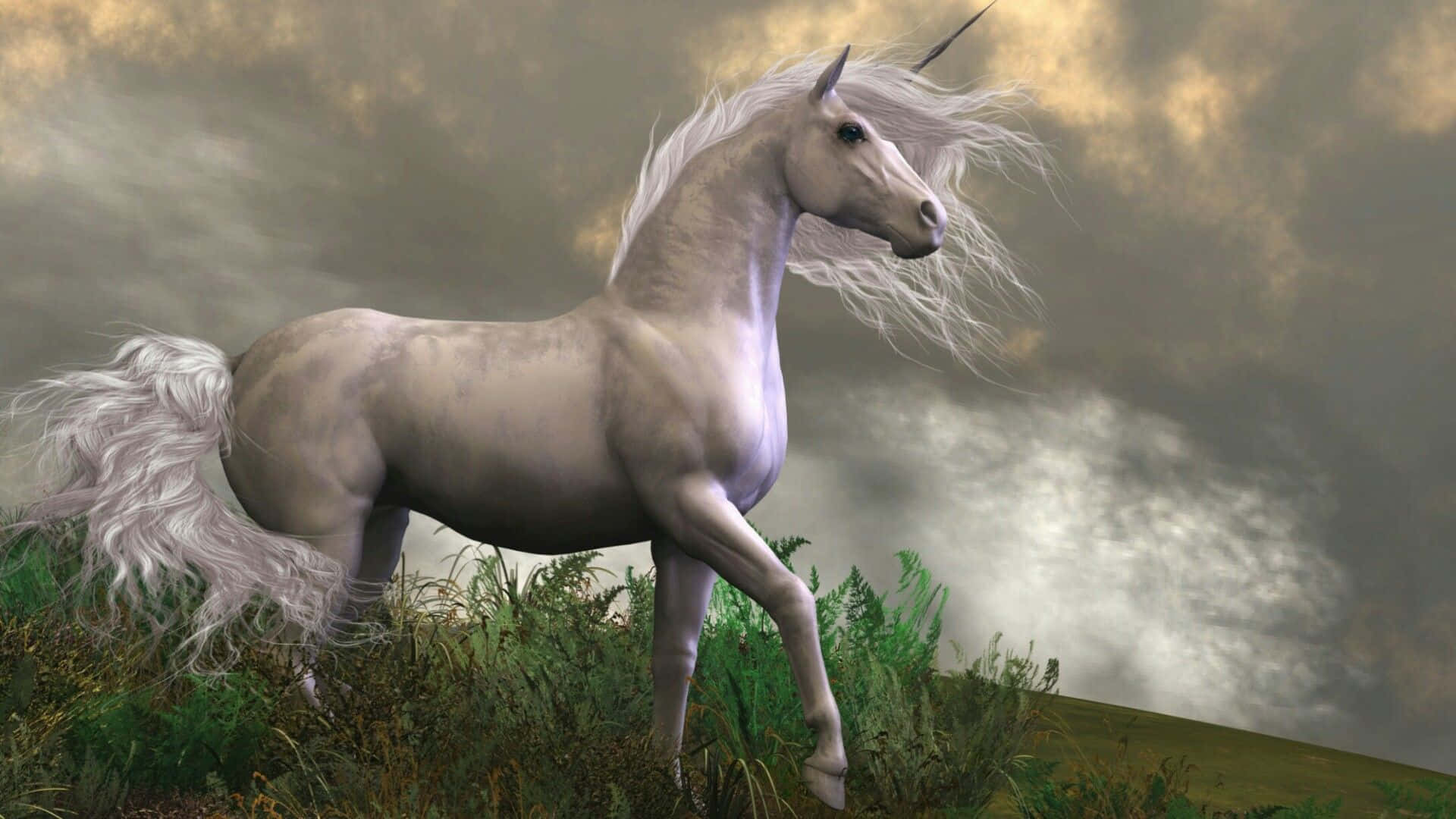 A Mythical White Unicorn Trots Gently In The Dark Forest Background