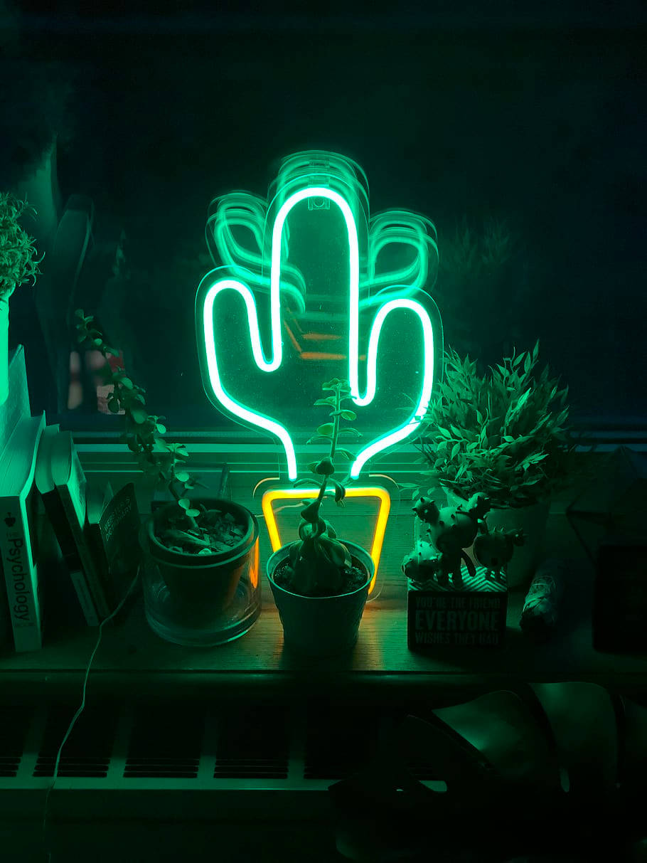 A Neon Cactus Is Sitting On A Shelf Background