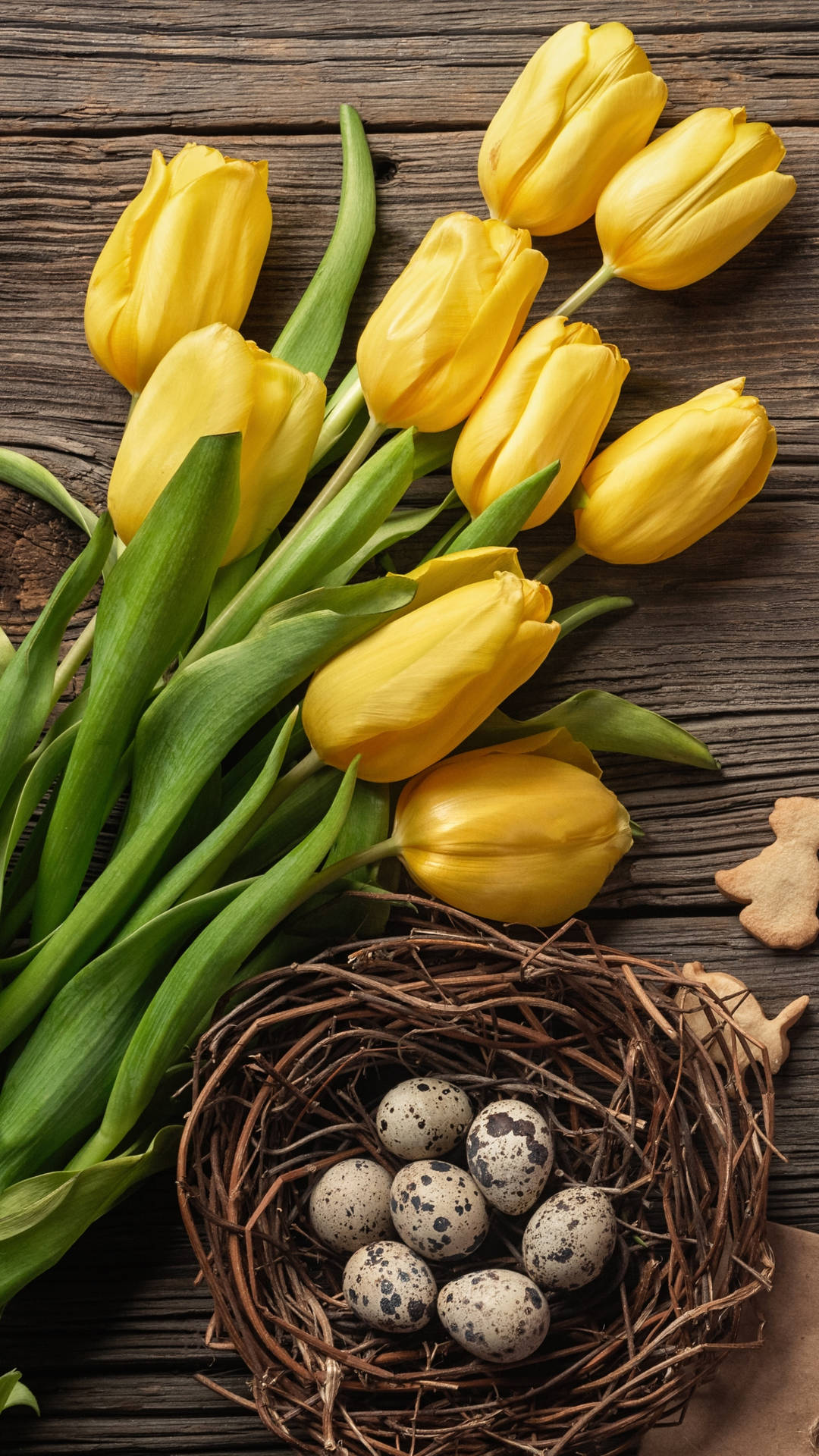 A Nest With Eggs And Tulips Background