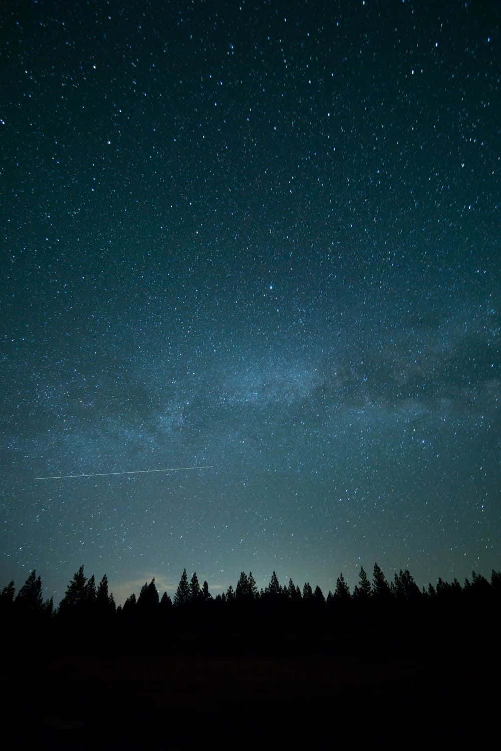 A Night Sky With Stars And Trees Background