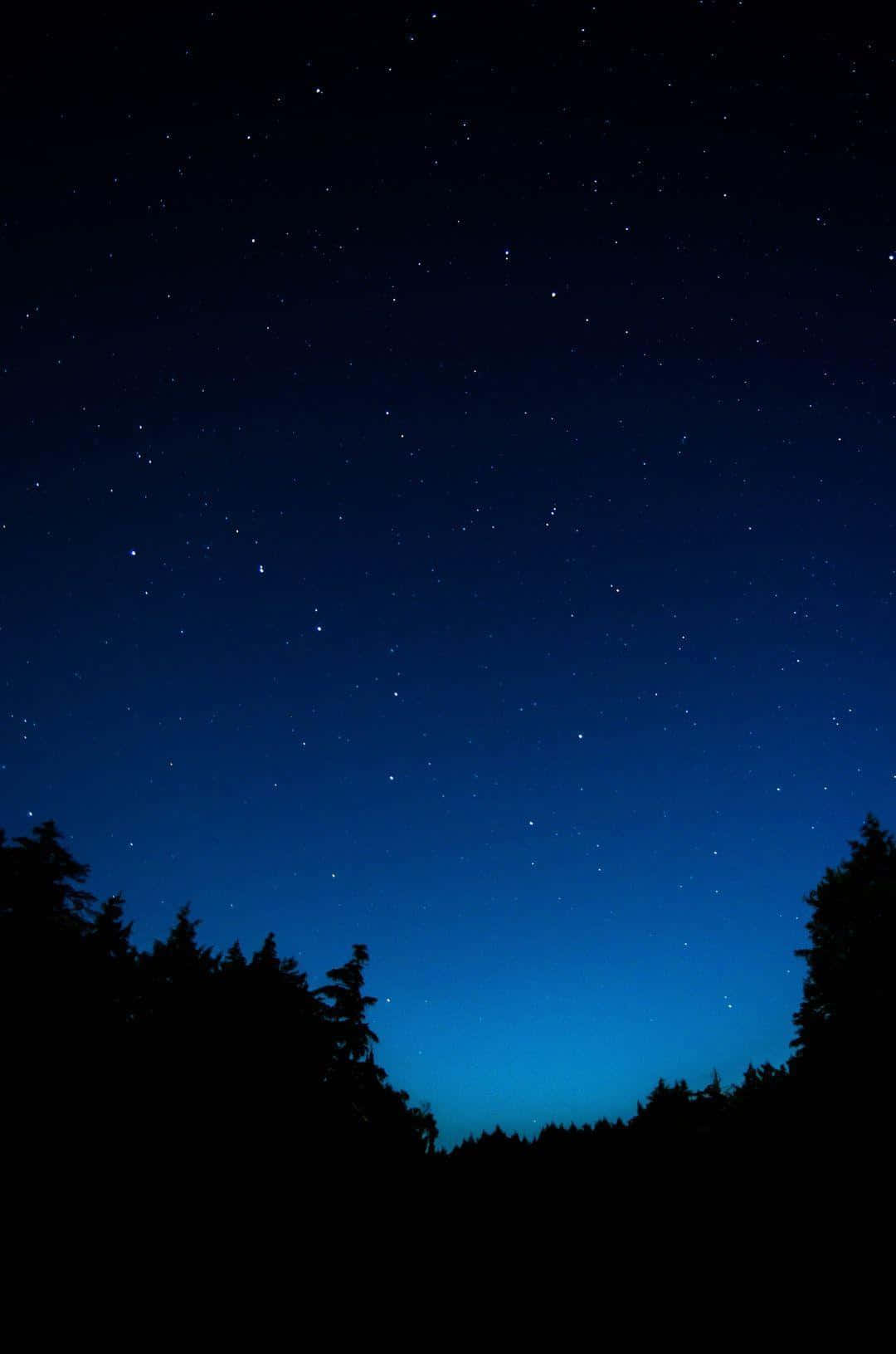 A Night Sky With Stars And Trees Background
