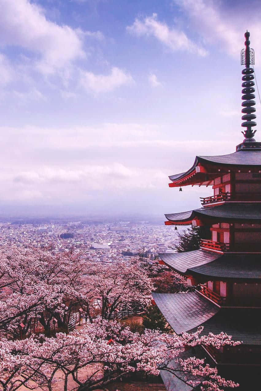A Pagoda With Cherry Blossoms In The Background Background