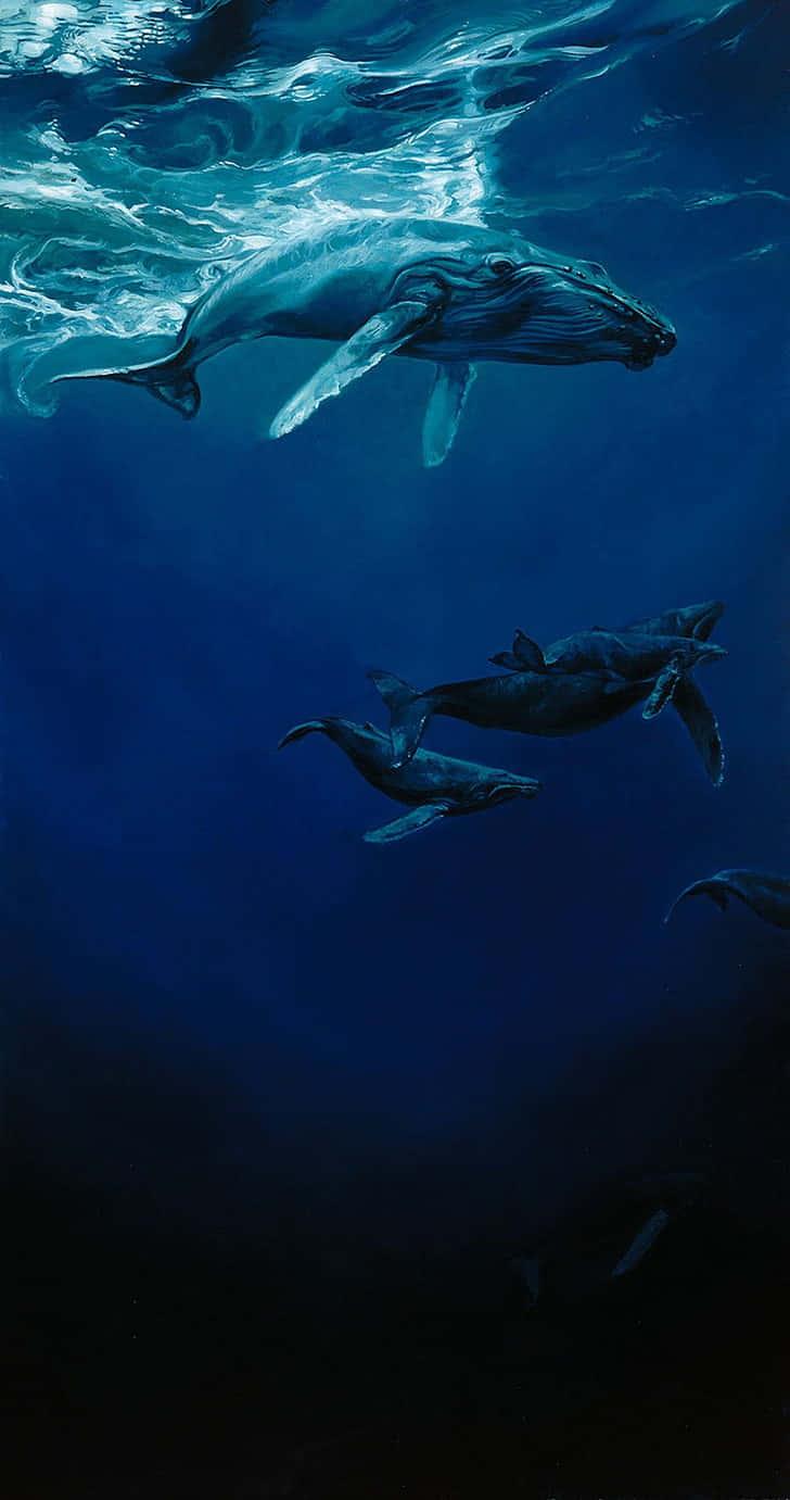 A Painting Of A Humpback Whale And Its Young Background