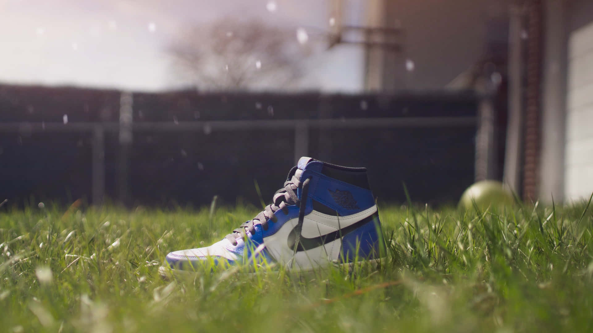 A Pair Of Sneakers Sitting In The Grass Background
