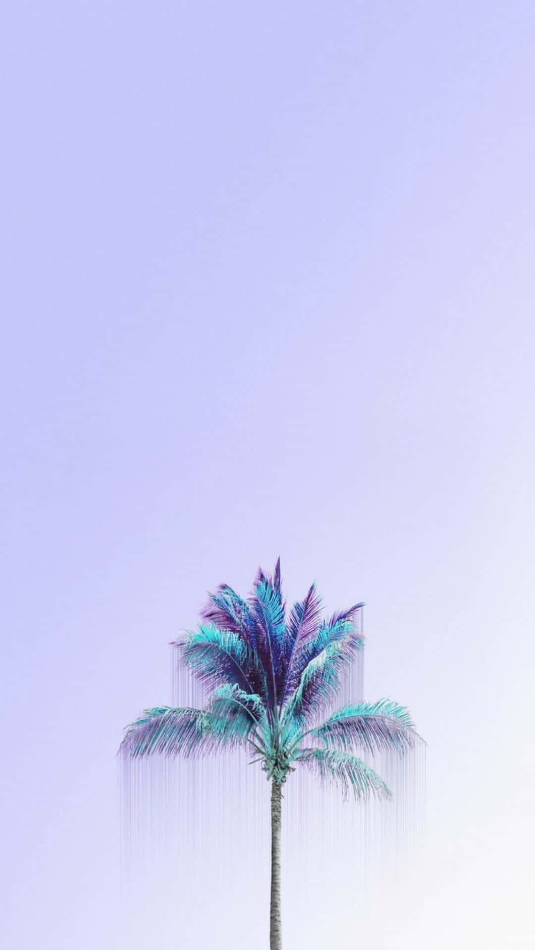A Palm Tree In A Blue Sky Background