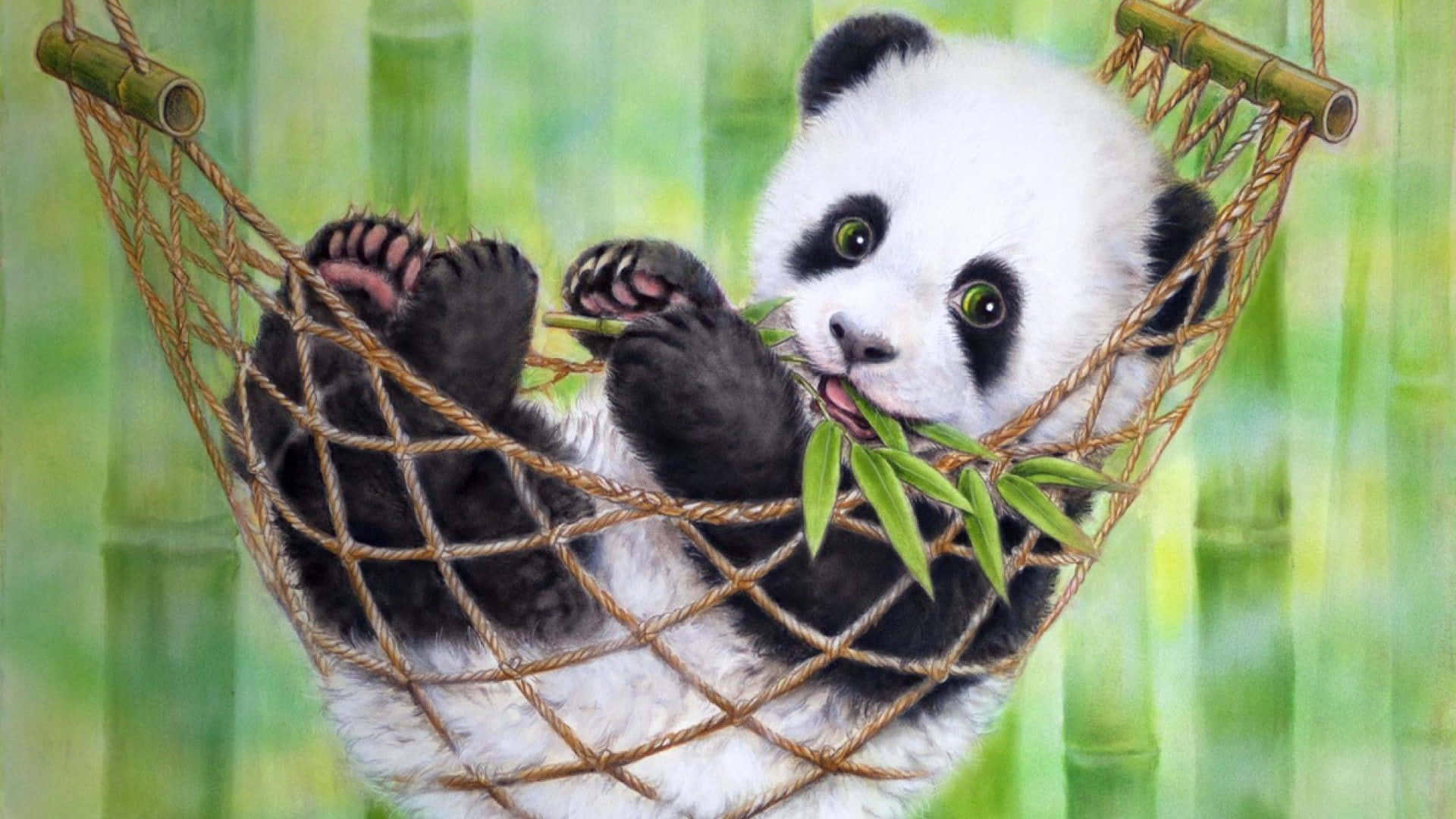A Panda Bear In A Bamboo Hammock