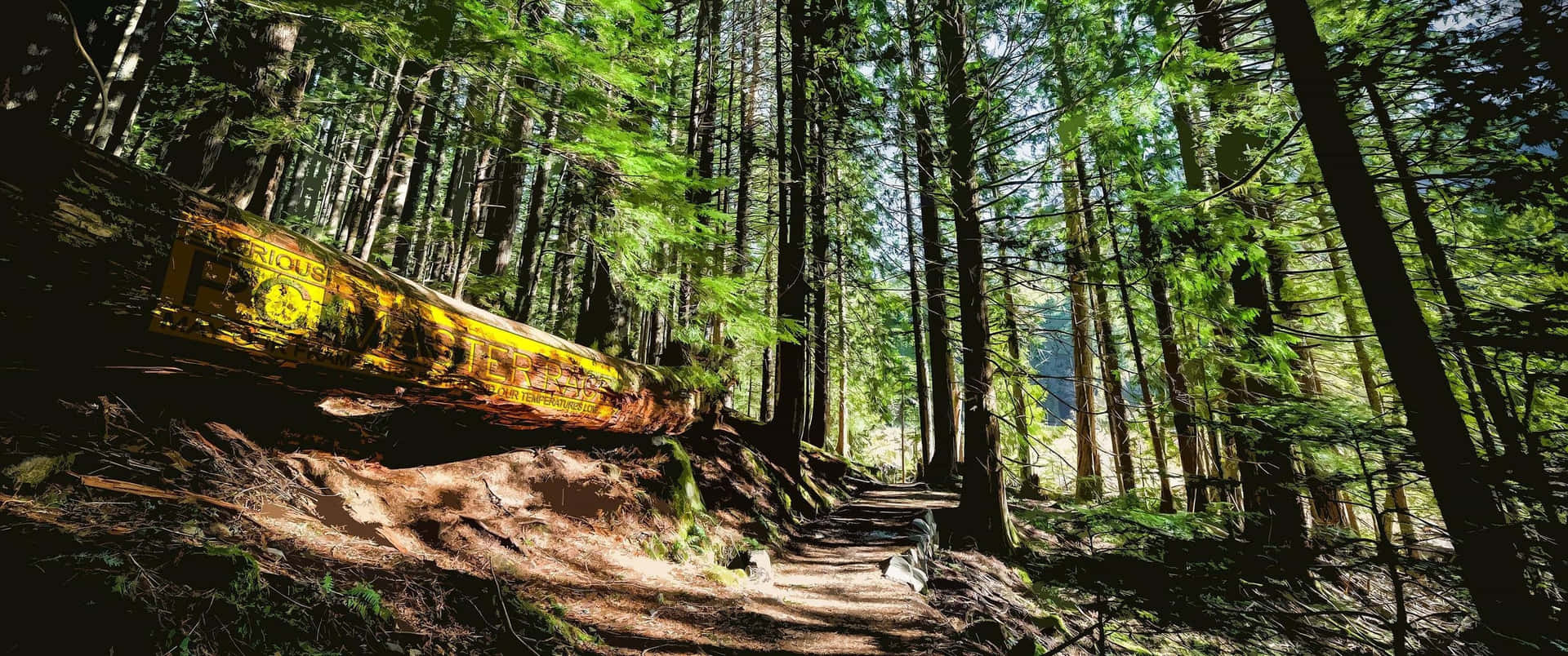 A Panoramic Look At The Beauty Of Nature.