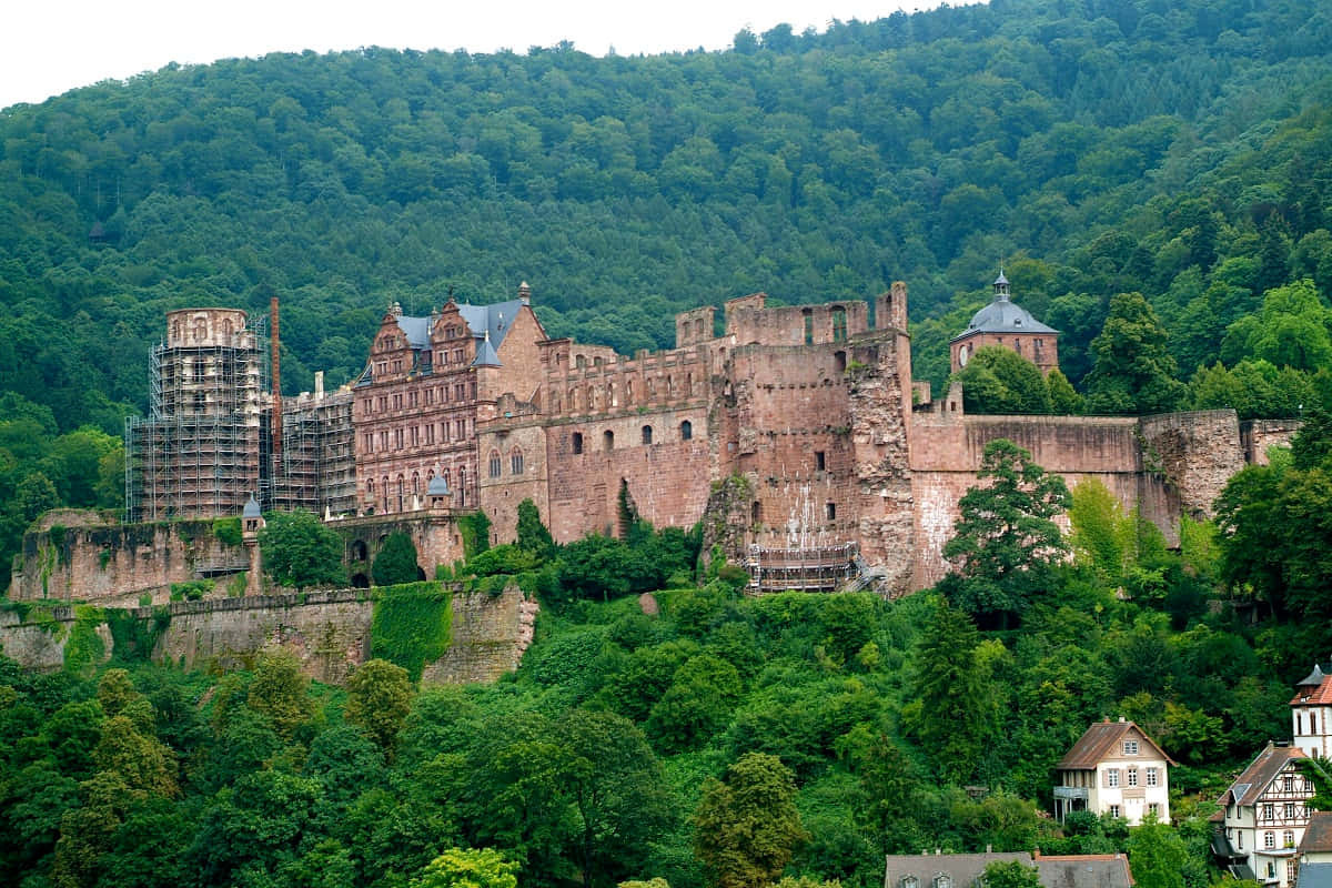A Panoramic View Of Heidelberg Castle Amidst Dense Forest