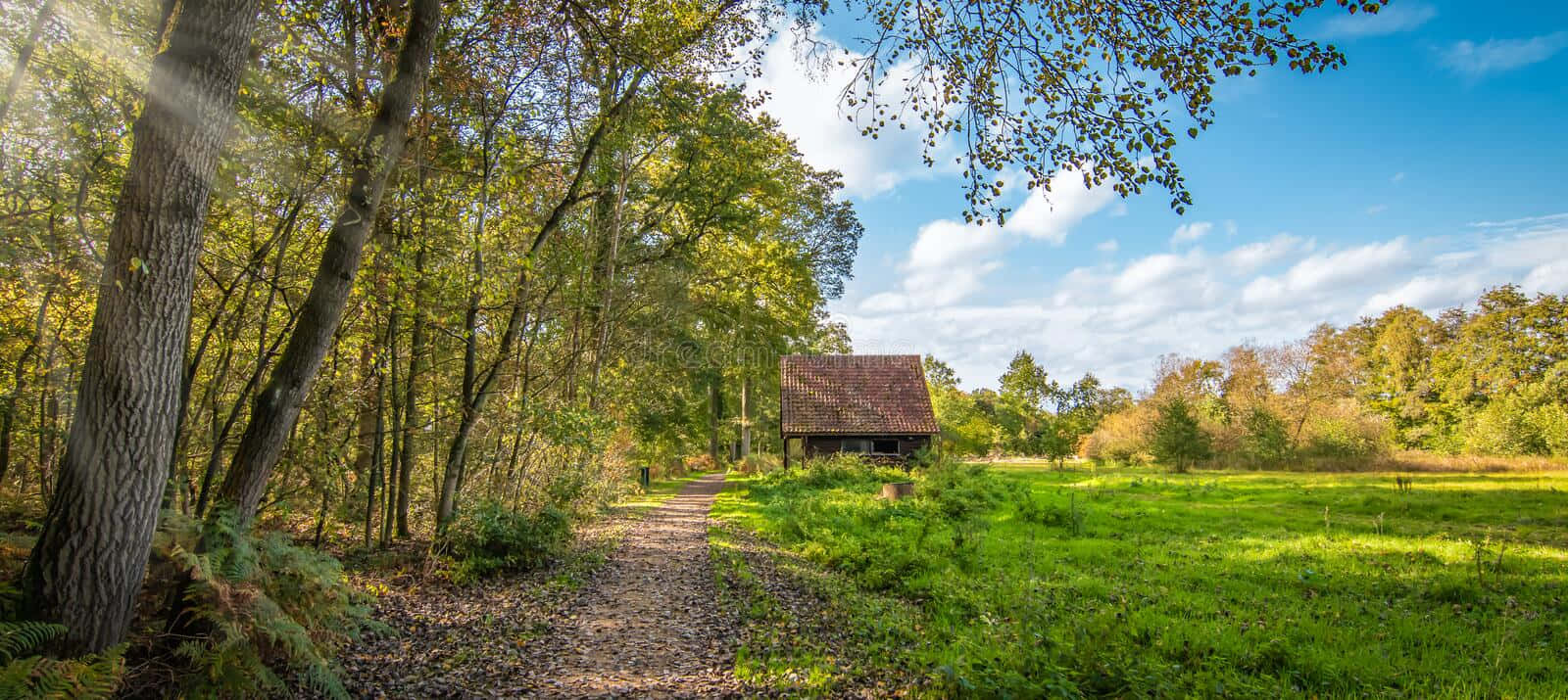 A Path Leads To A Wooden Cabin In The Forest Background