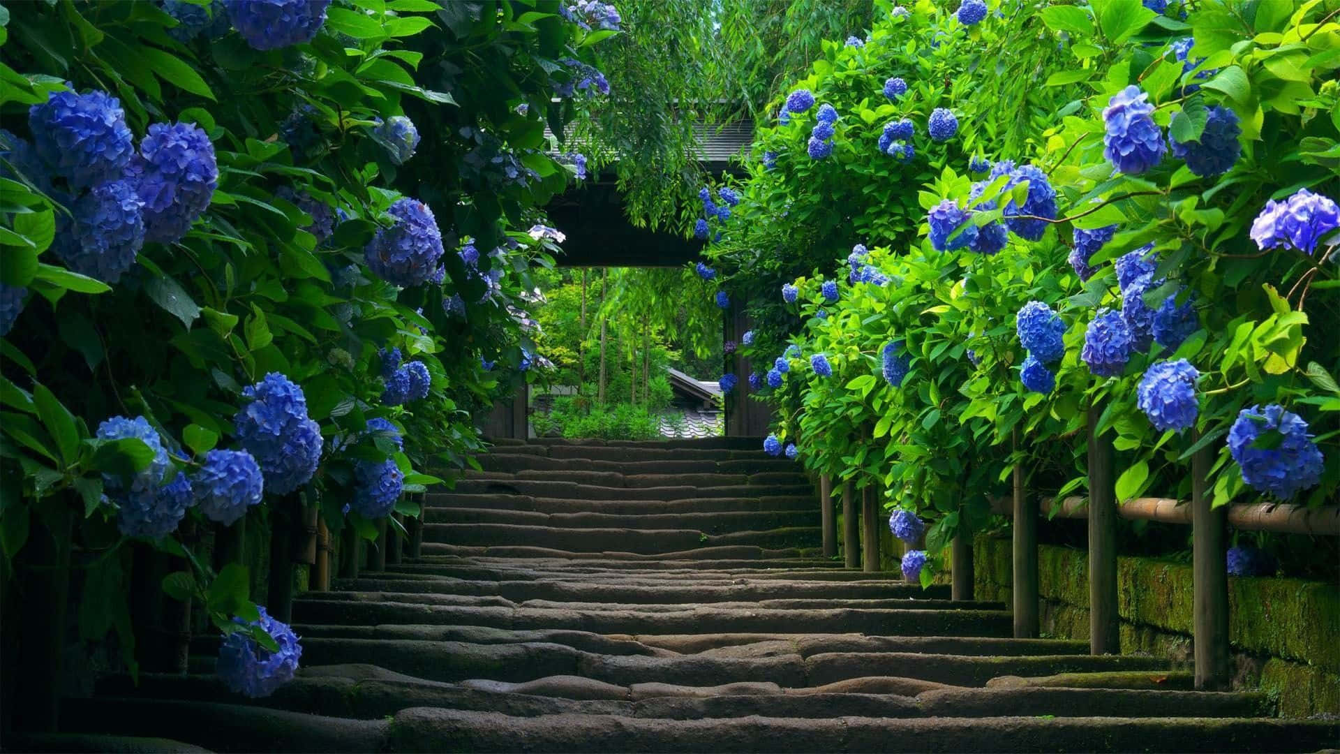 A Path With Blue Flowers Leading Up To A Wooden Staircase Background