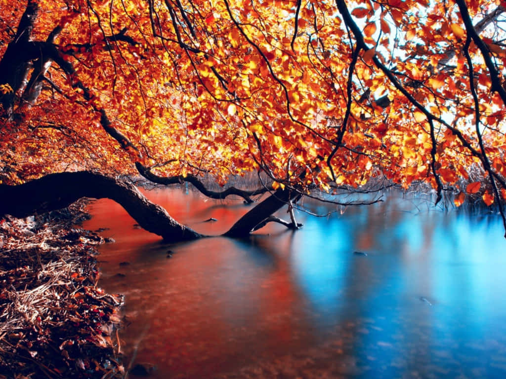 A Peaceful Countryside With An Autumnal View Background