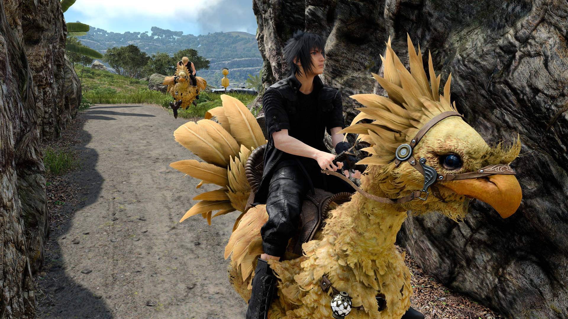 A Peaceful Encounter With Chocobos In Final Fantasy 8 Background