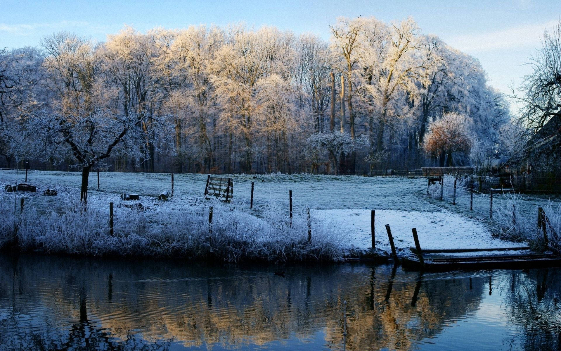 A Peaceful November Morning At A Wintery Forest Lake Background