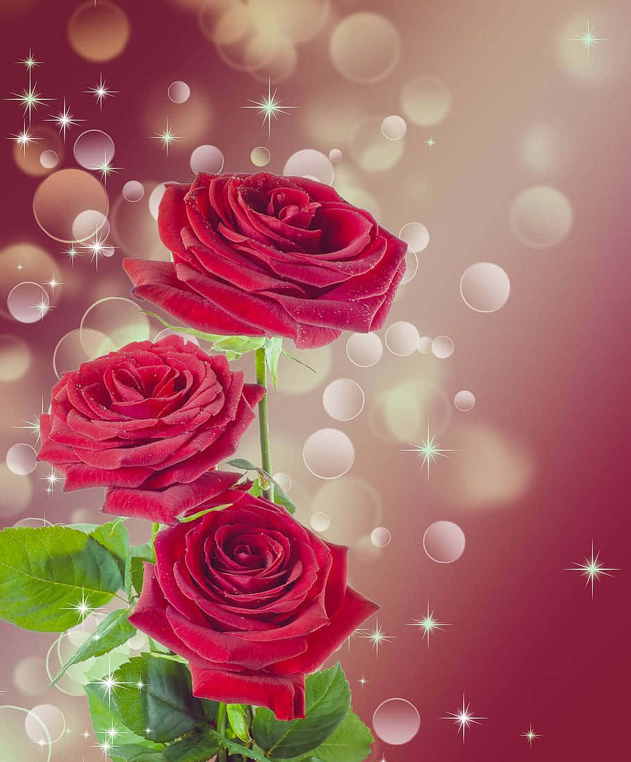 A Peaceful, Tranquil Burgundy Flower In All Its Beauty Background