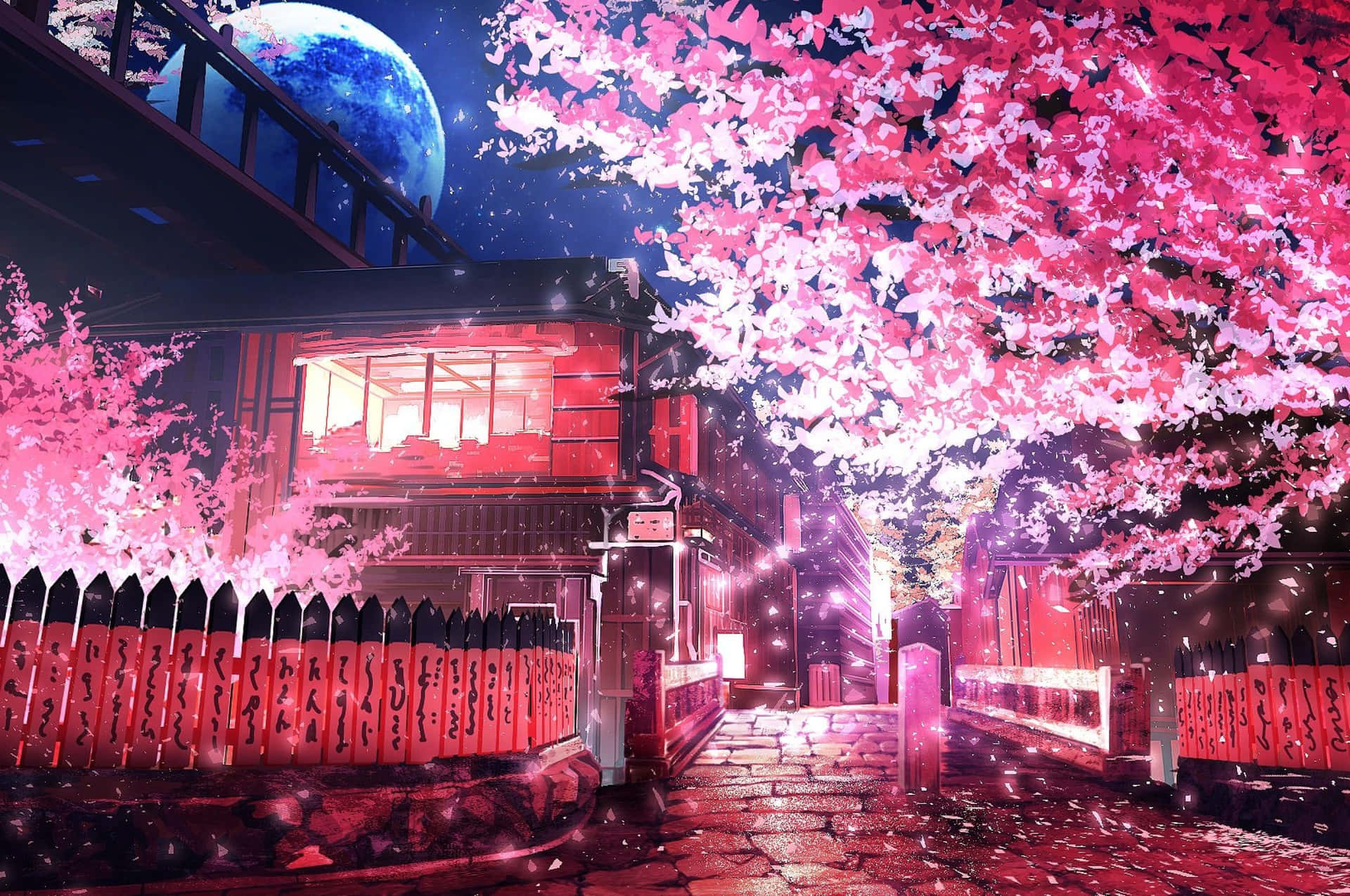 A Peaceful View Of Cherry Blossom Season Background