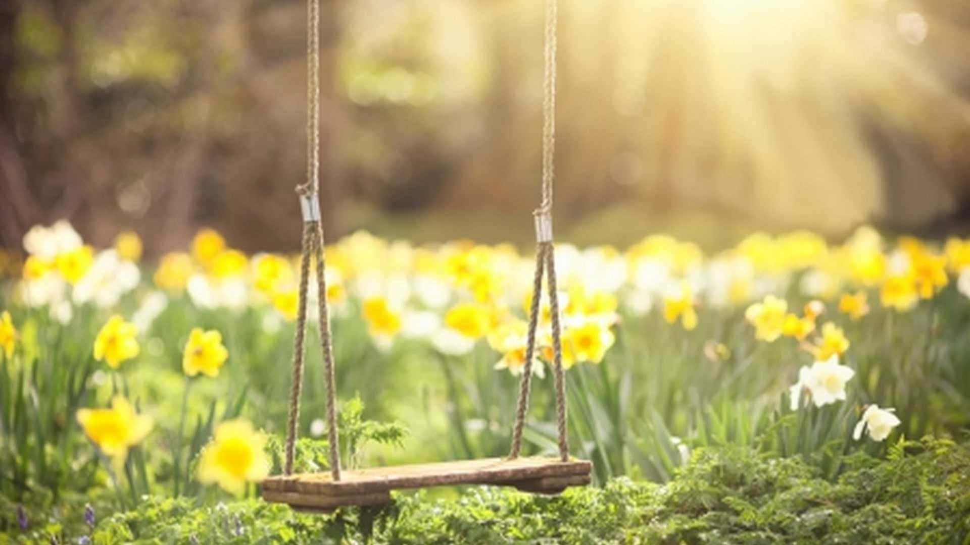 A Peaceful Walk In The Simple Beauty Of Spring Background