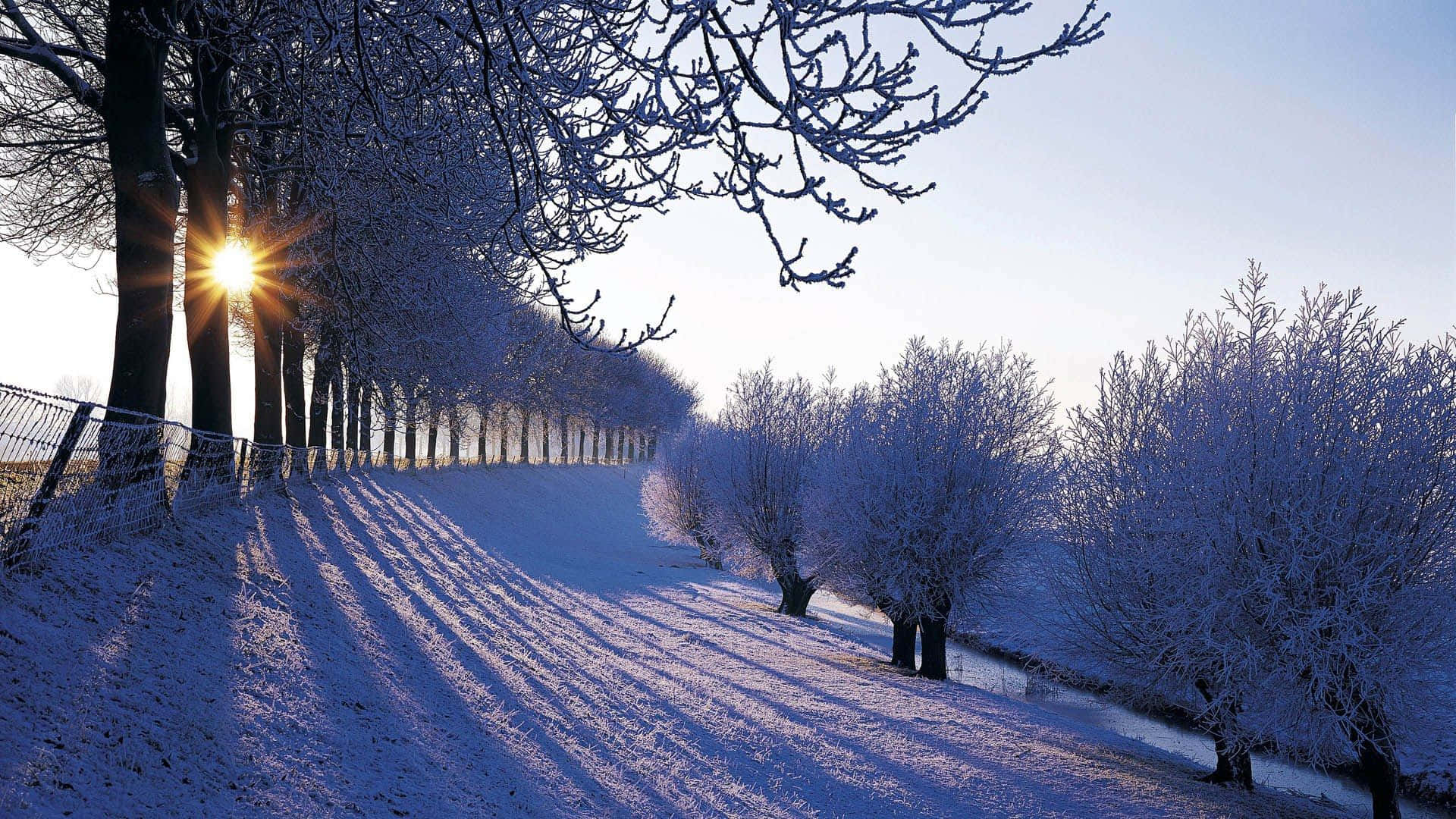A Peaceful Winter Morning In The Countryside Background