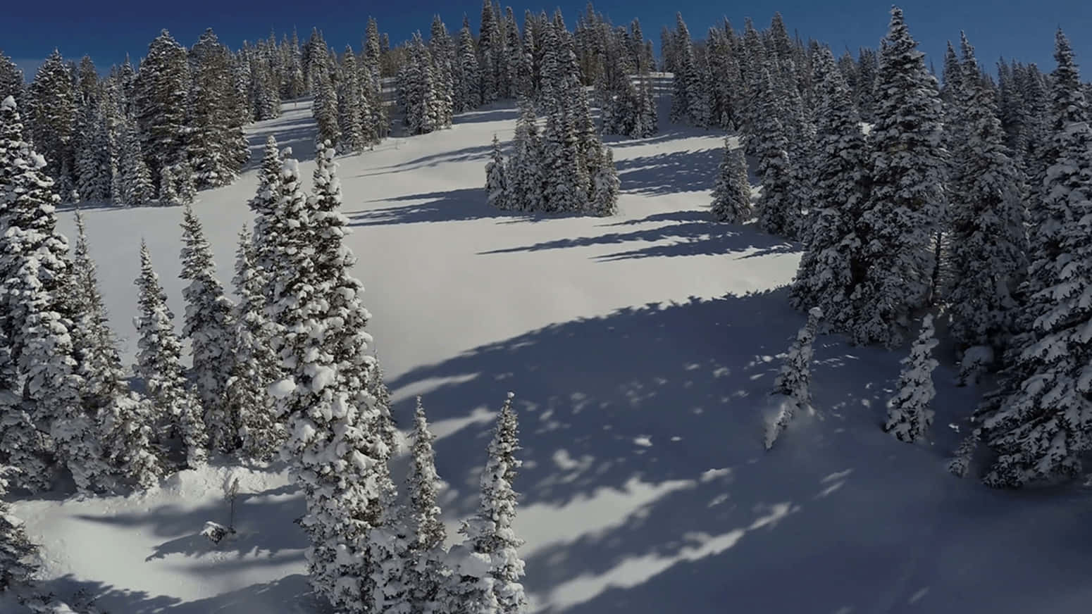 A Peaceful Winter Snowscape In 4k