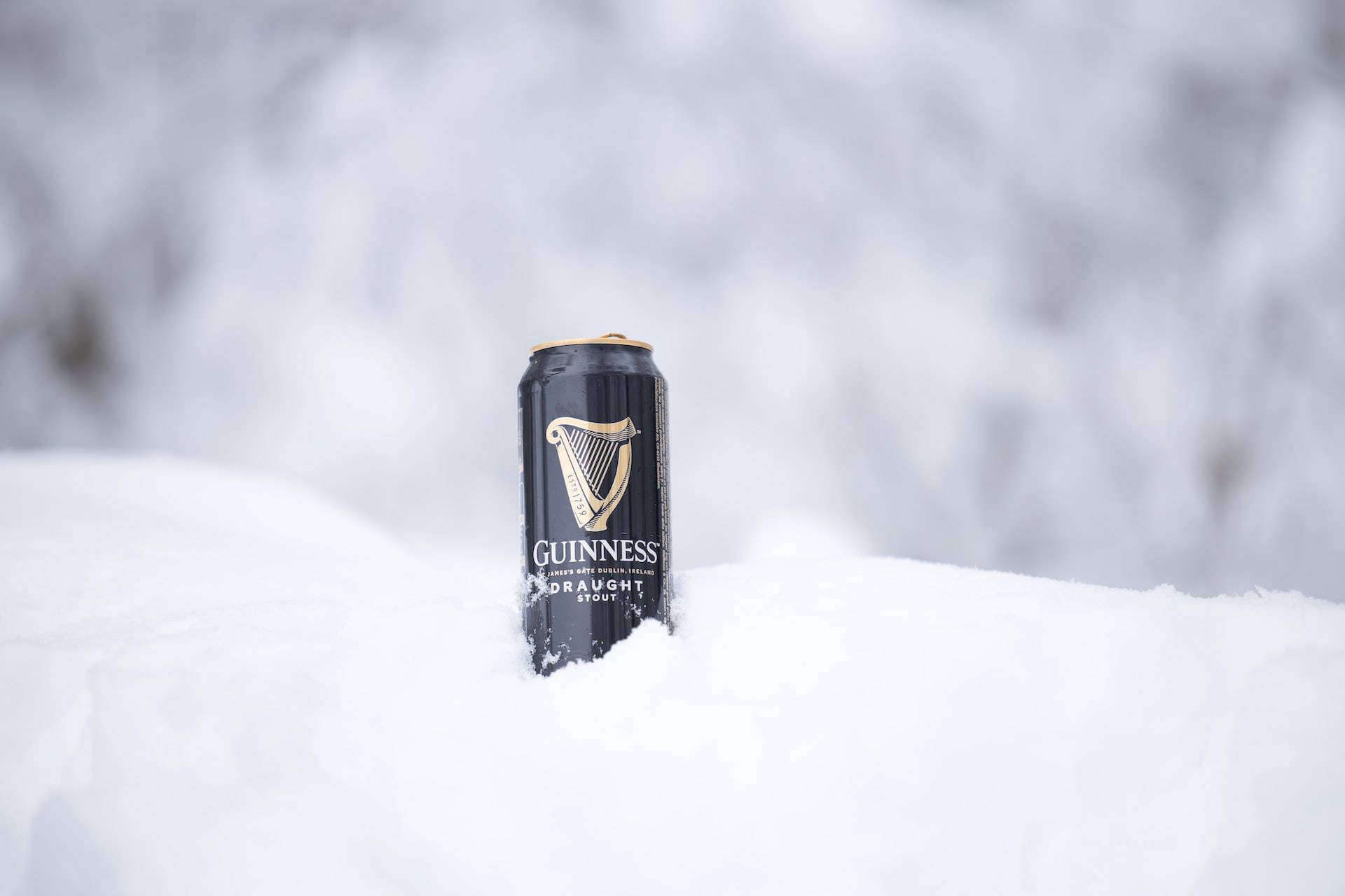 A Perfect Guinness Moment: Chilled Irish Stout In Snow Background