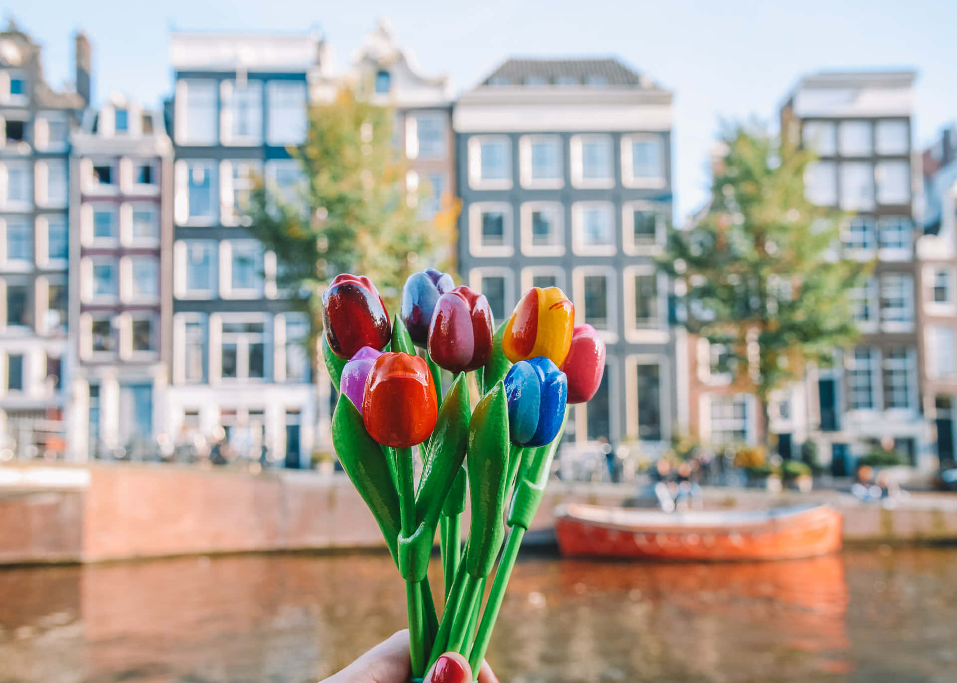A Person Holding A Bouquet Of Colorful Tulips In Front Of A Canal Background