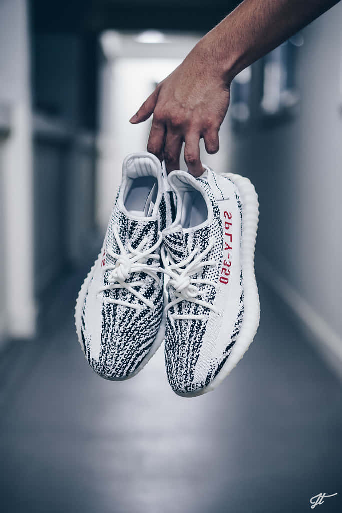 A Person Holding A Pair Of Adi Yeezy Boost 350 Background