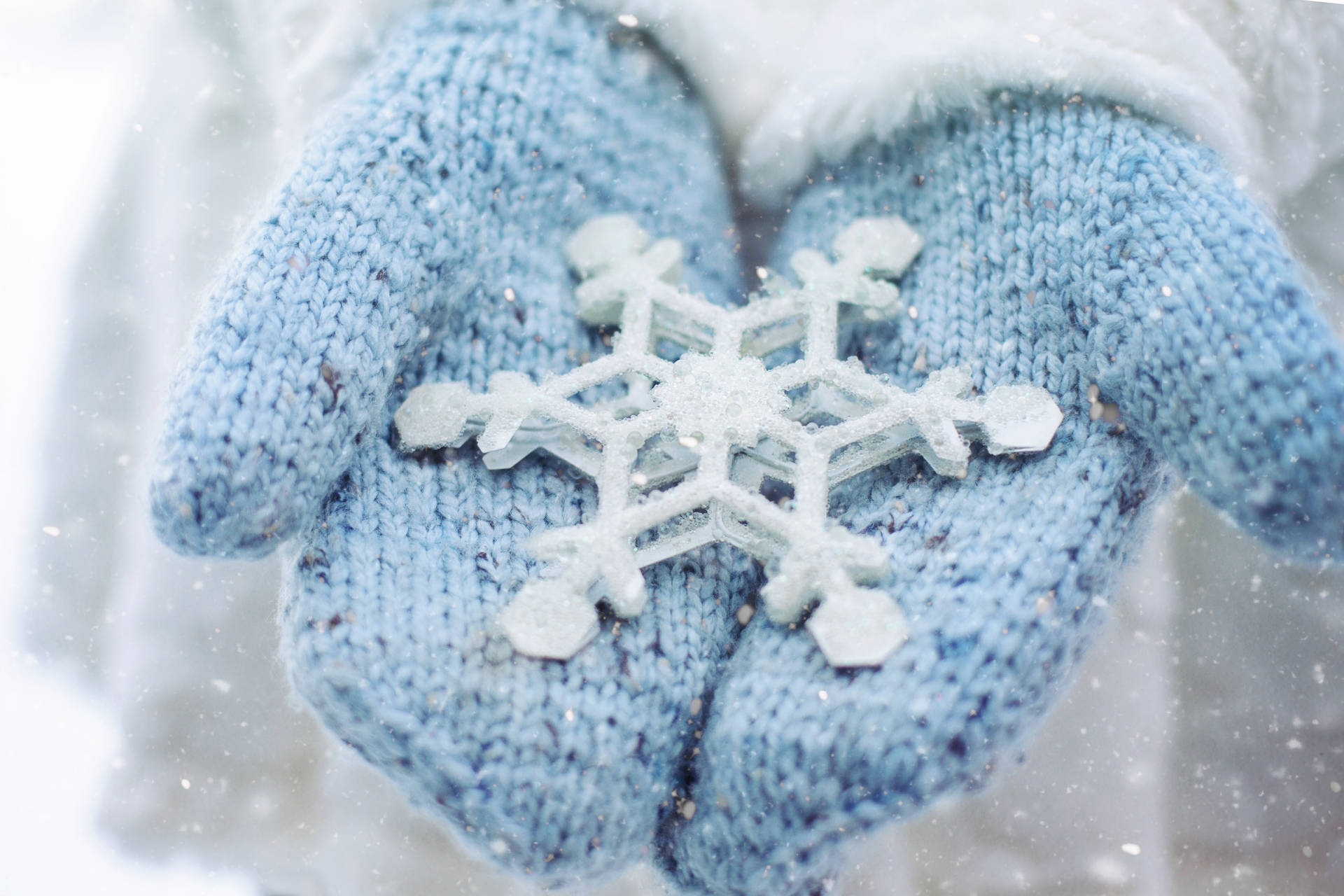 A Person In Blue Gloves Holding A Snowflake Background