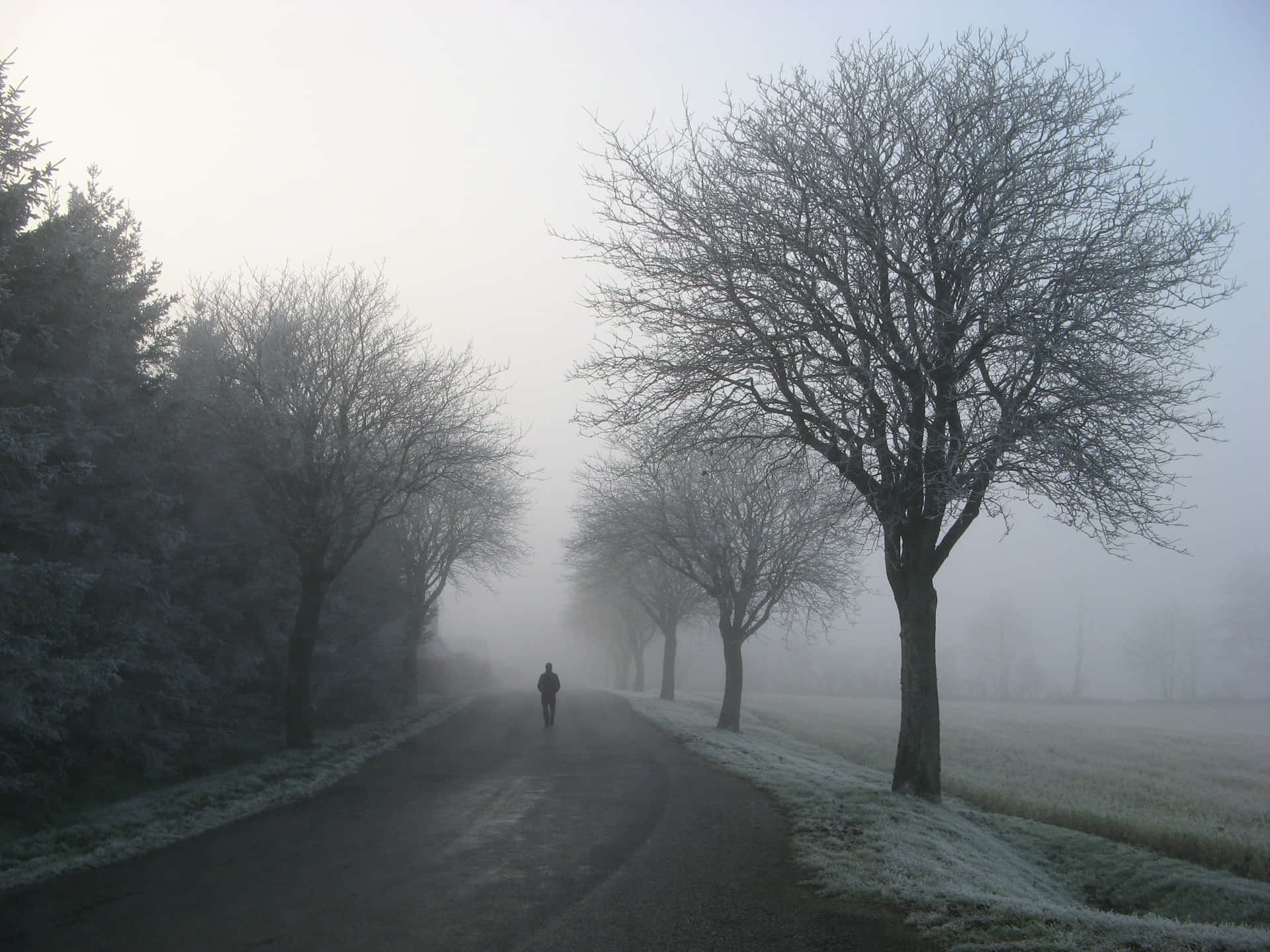 A Person Is Walking Down A Road Background