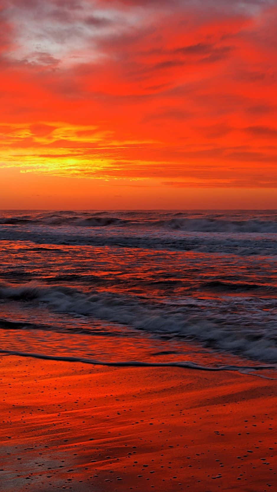 A Person Is Walking On The Beach Background