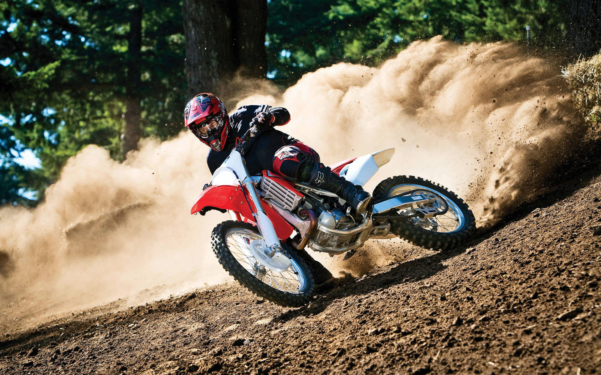 A Person Riding A Dirt Bike On A Dirt Trail Background