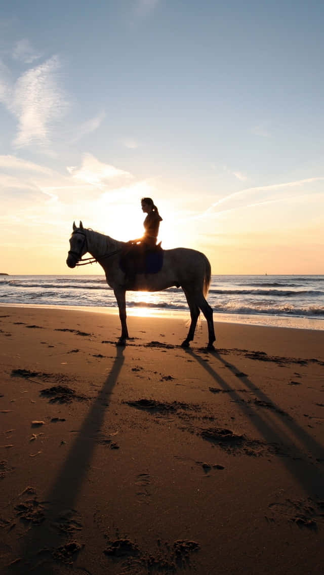 A Person Riding A Horse On The Beach Background