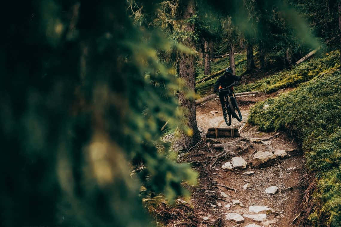 A Person Riding A Mountain Bike On A Trail Background