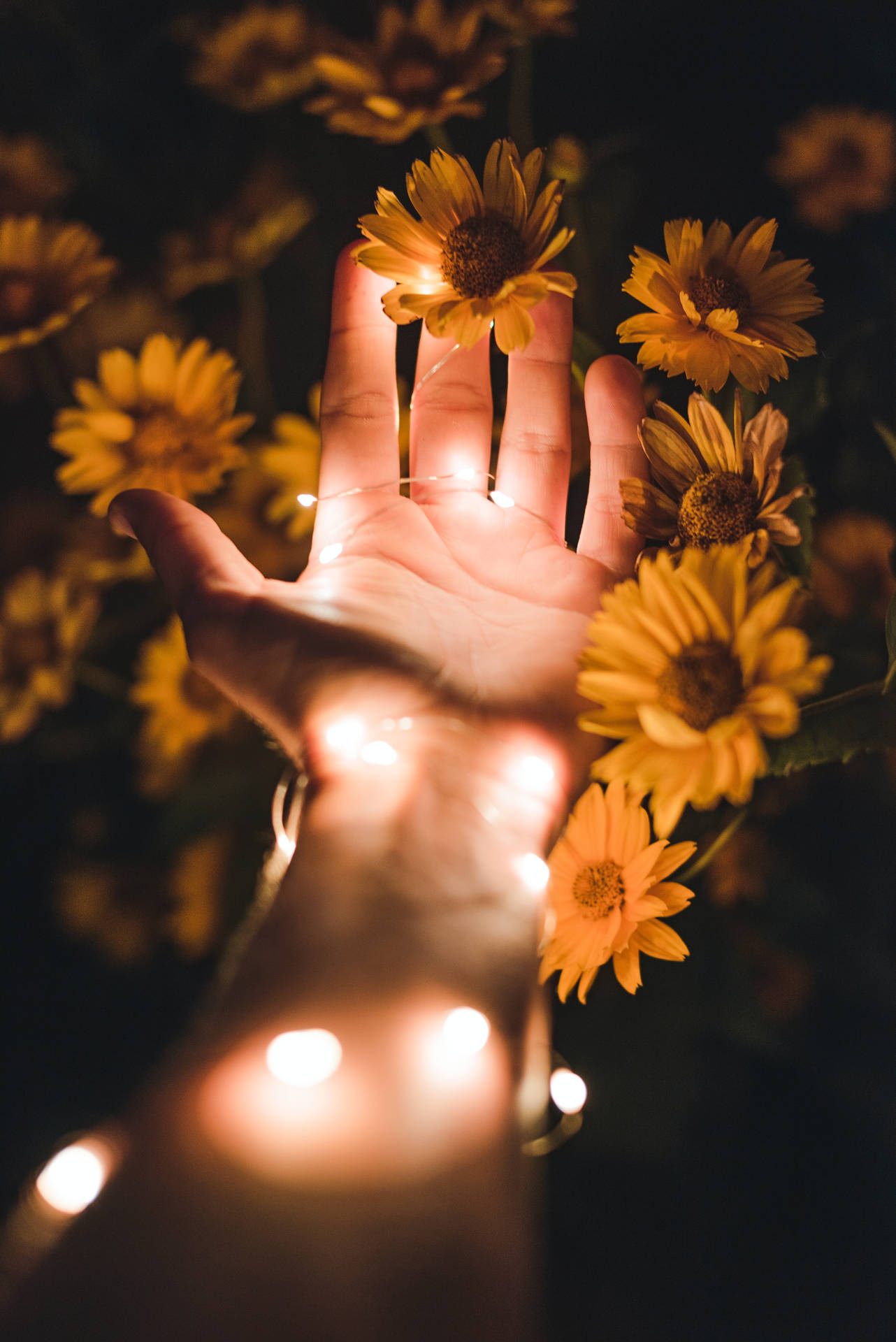 A Person's Hand With Lights In It Background