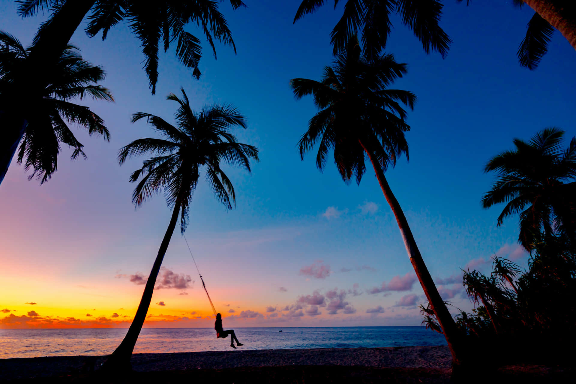 A Person Swinging On A Swing Background
