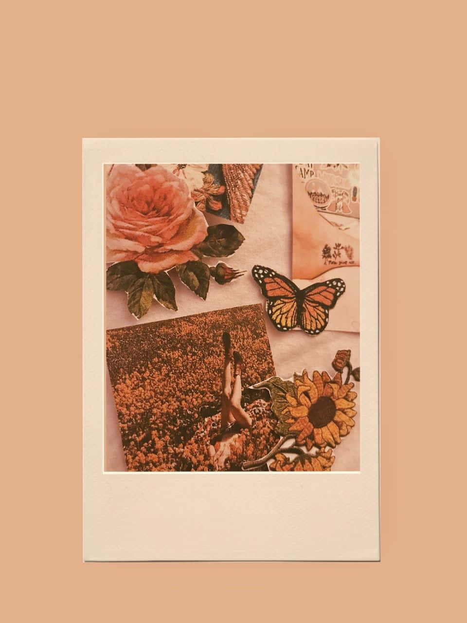 A Photo Of A Woman With A Butterfly And Flowers Background