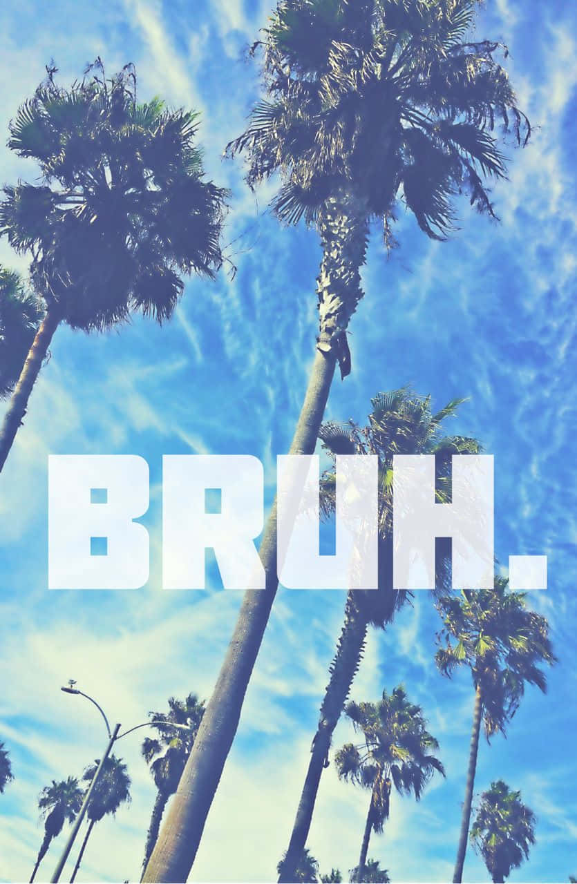 A Photo Of Palm Trees With The Word Brh Background
