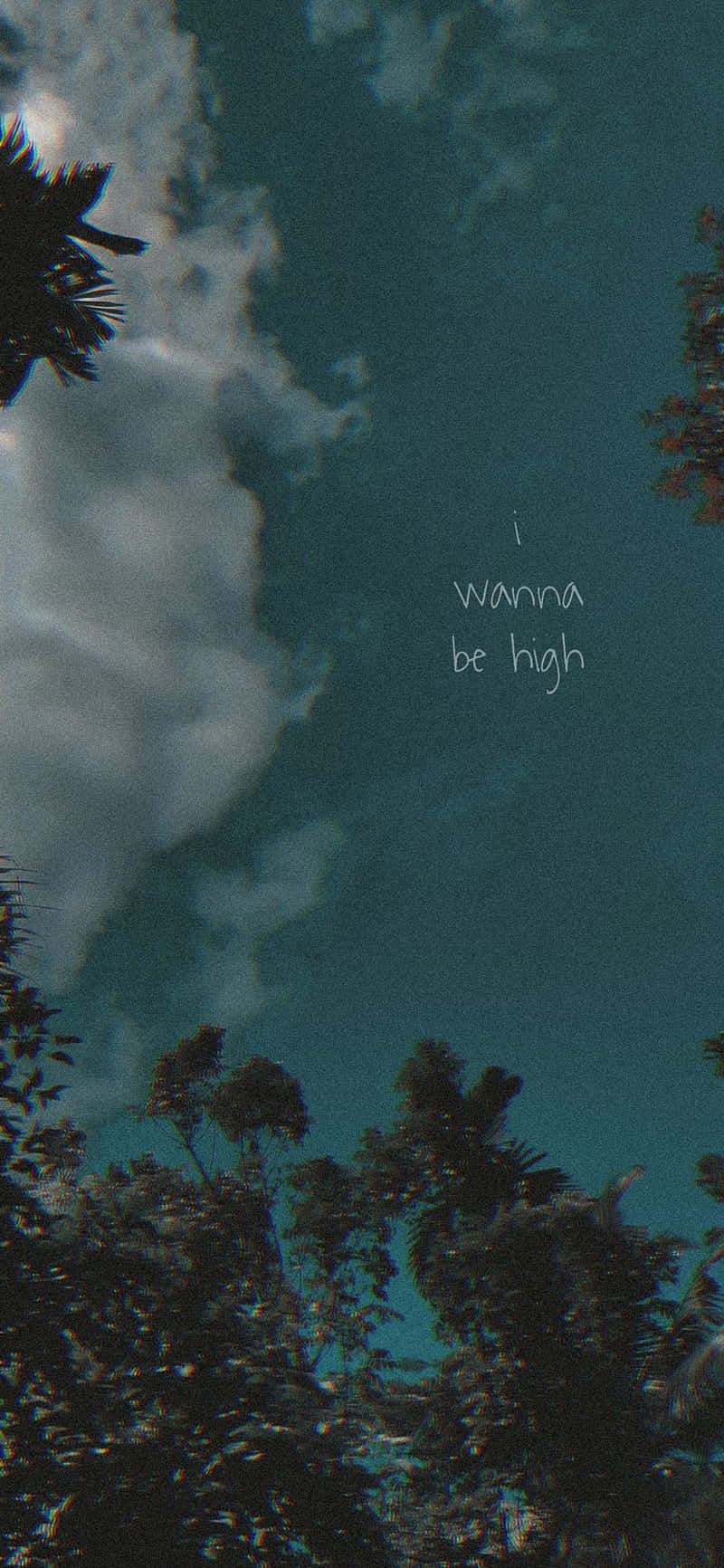 A Picture Of A Tree With Clouds In The Sky