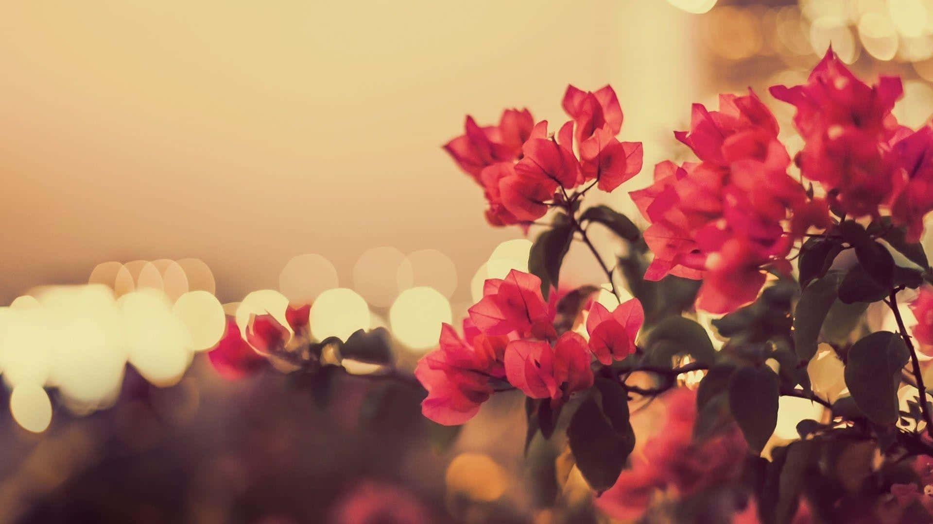 A Picture Of Flowers In Front Of A City Background