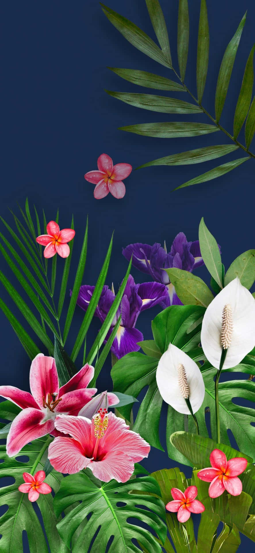 A Picture Of Tropical Flowers On A Blue Background Background