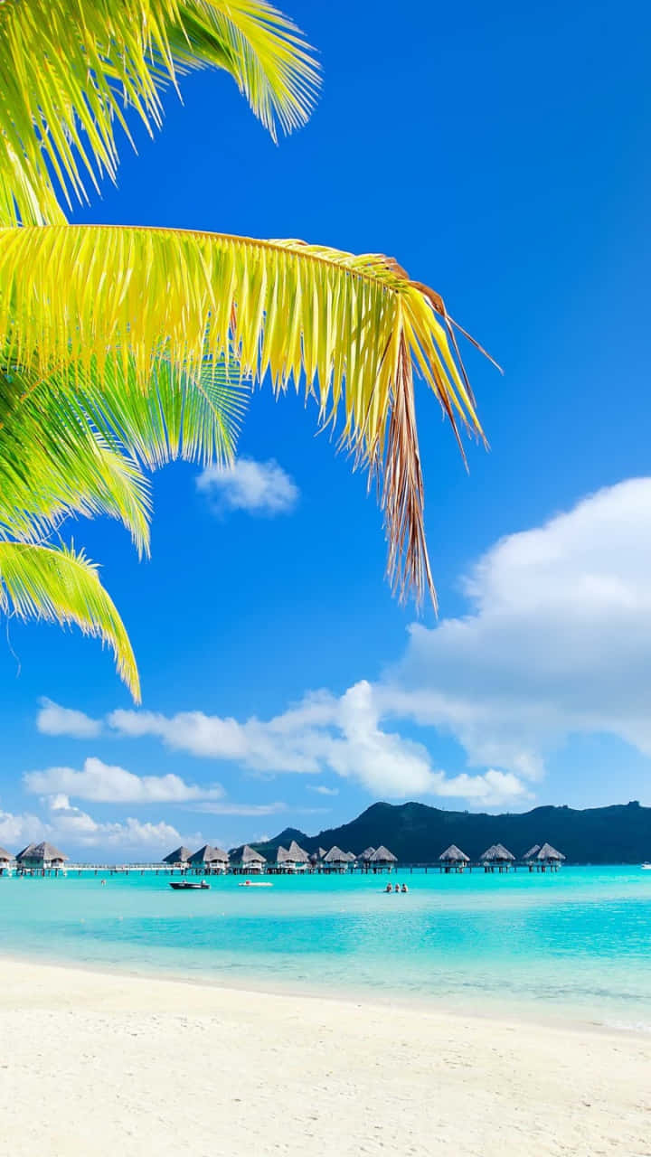 A Picture Perfect View Of Paradise Background