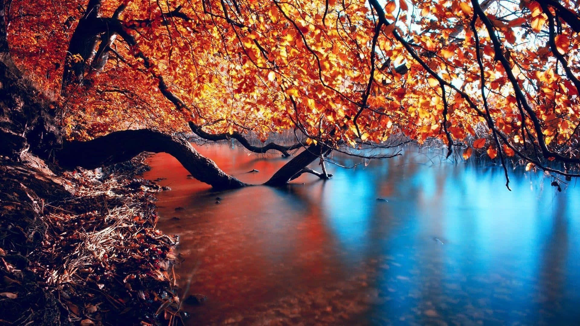 A Picturesque Scene Of A Lake Surrounded By Vibrant Fall Foliage Background