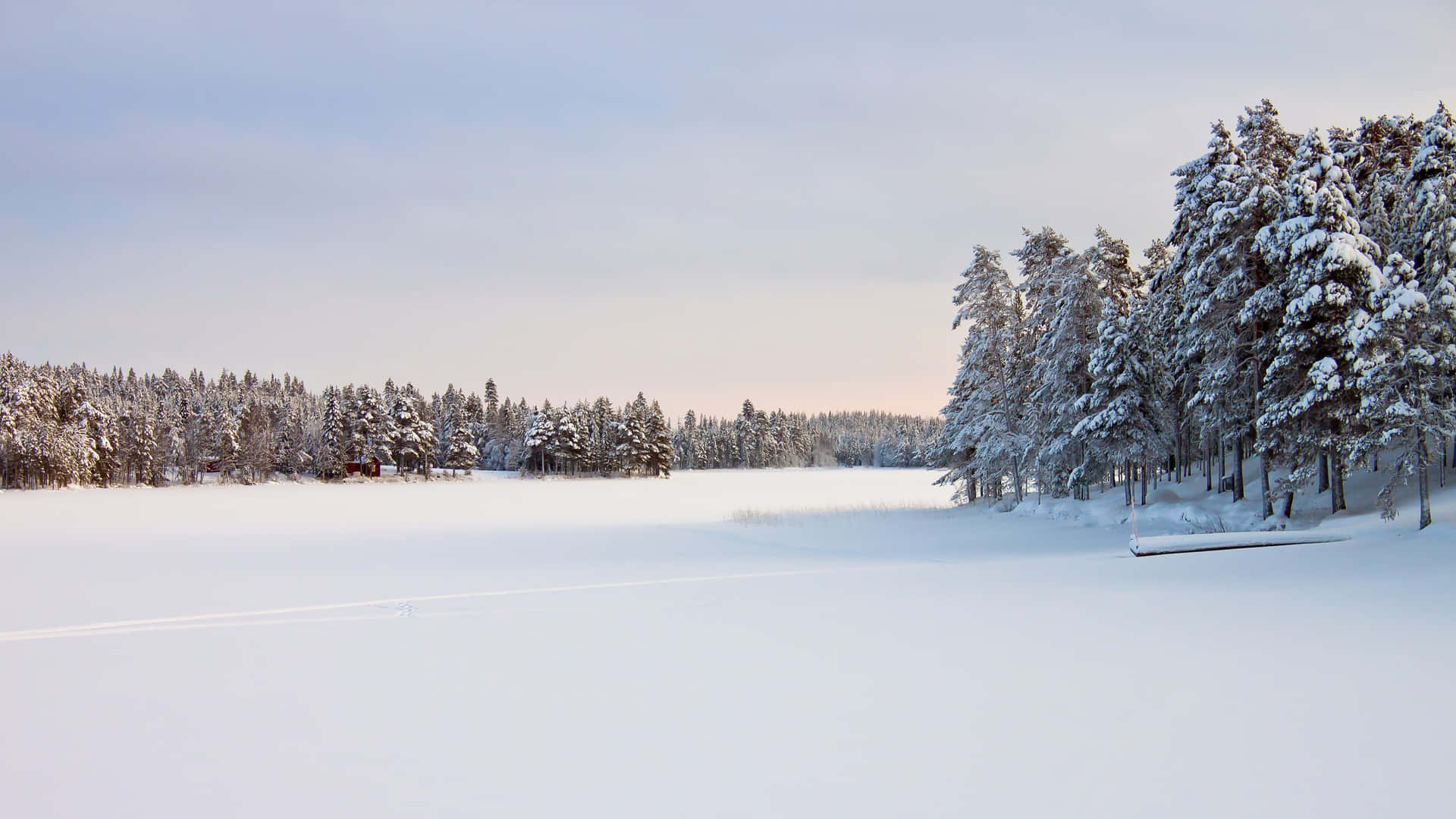 A Picturesque View Of A Snowy Winter Night Background