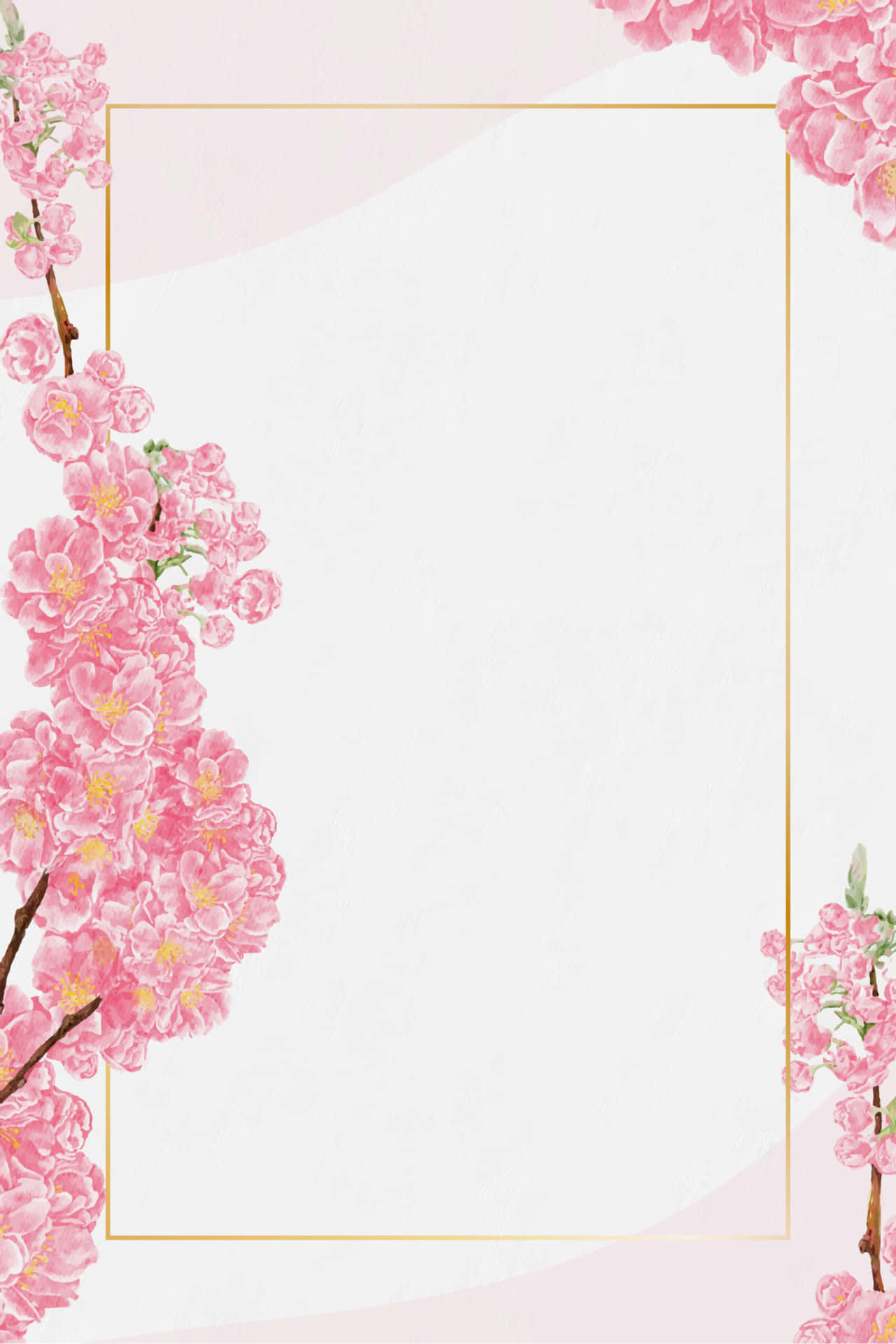 A Picturesque View Of Delicate Pink Cherry Blossom Petals. Background