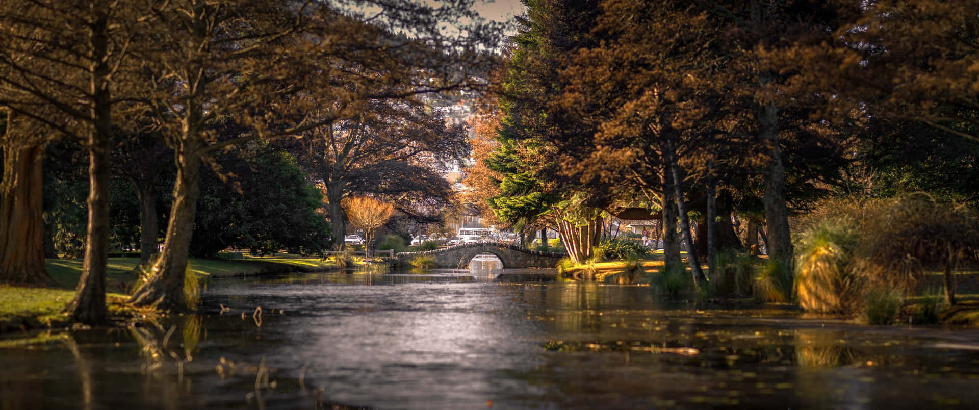 A Picturesque View Of The Forest In Autumn Background