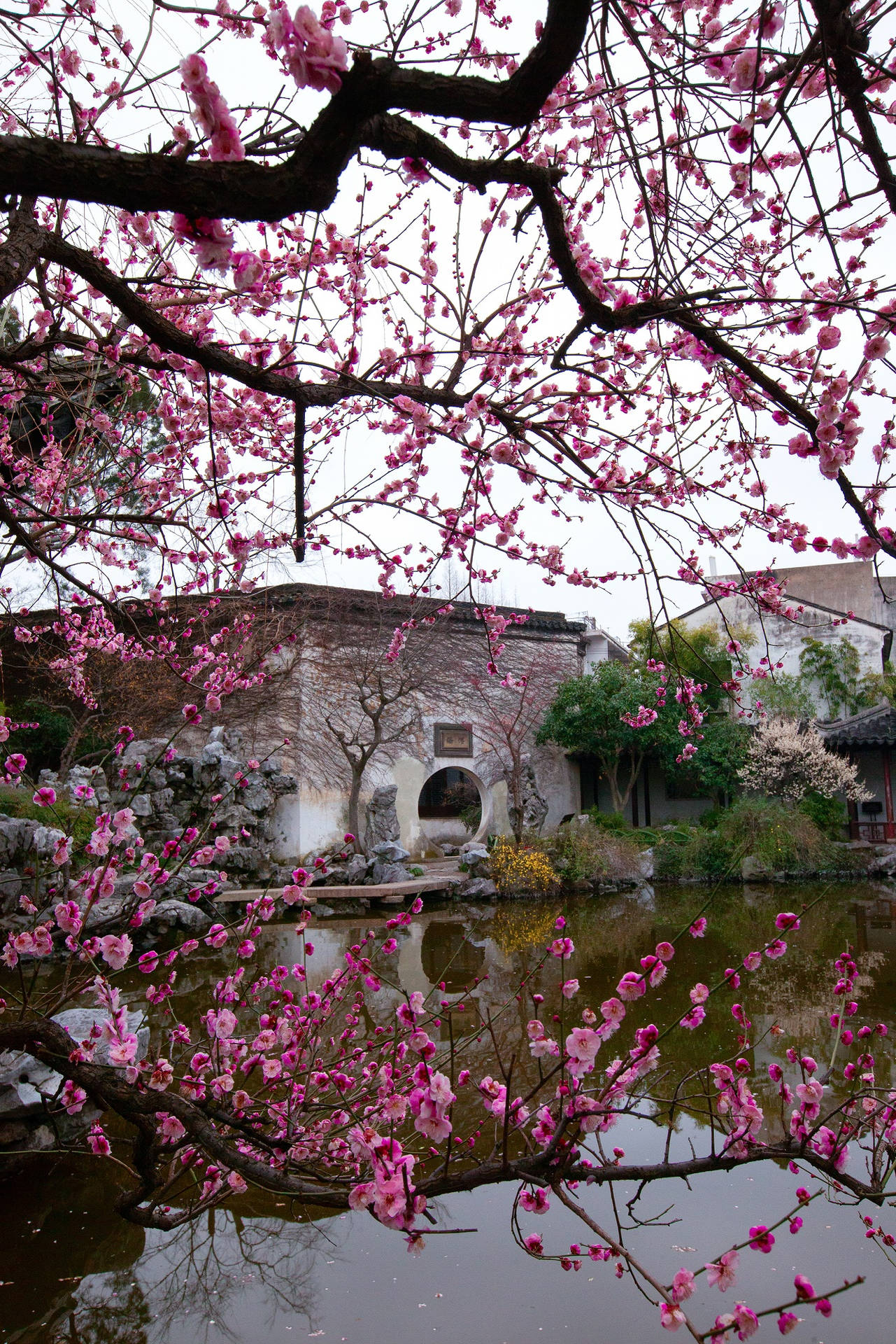 A Picturesque View Of The Serene Waters And Traditional Architecture In Suzhou, China Background
