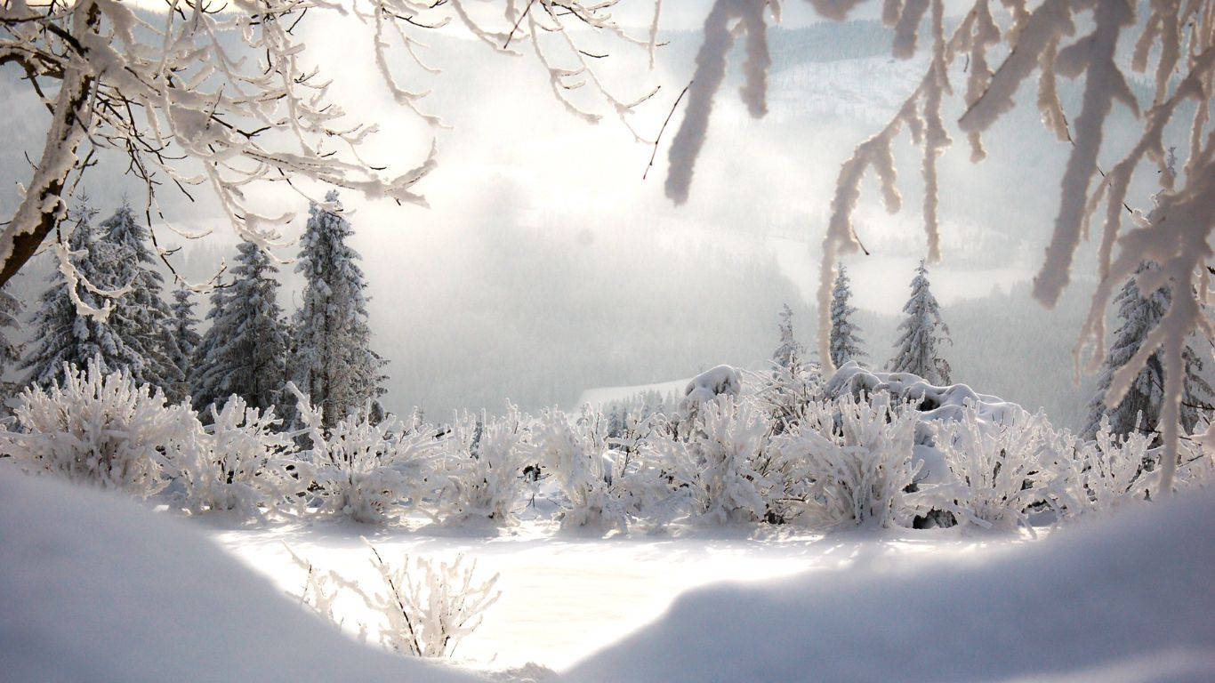 A Picturesque Winter Scenery Of Snow Covered Trees And A Calm Lake Background