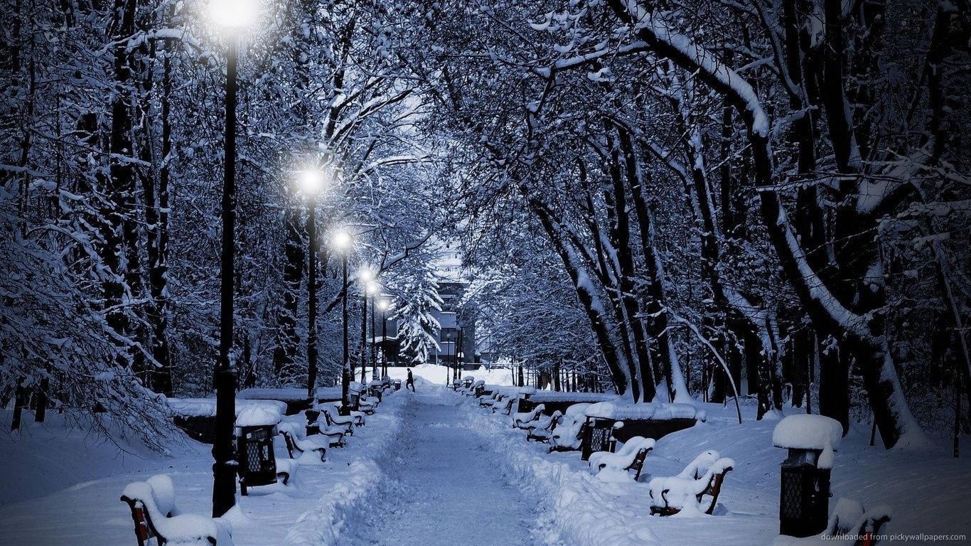 A Picturesque Winter Wonderland Near A Lake Background