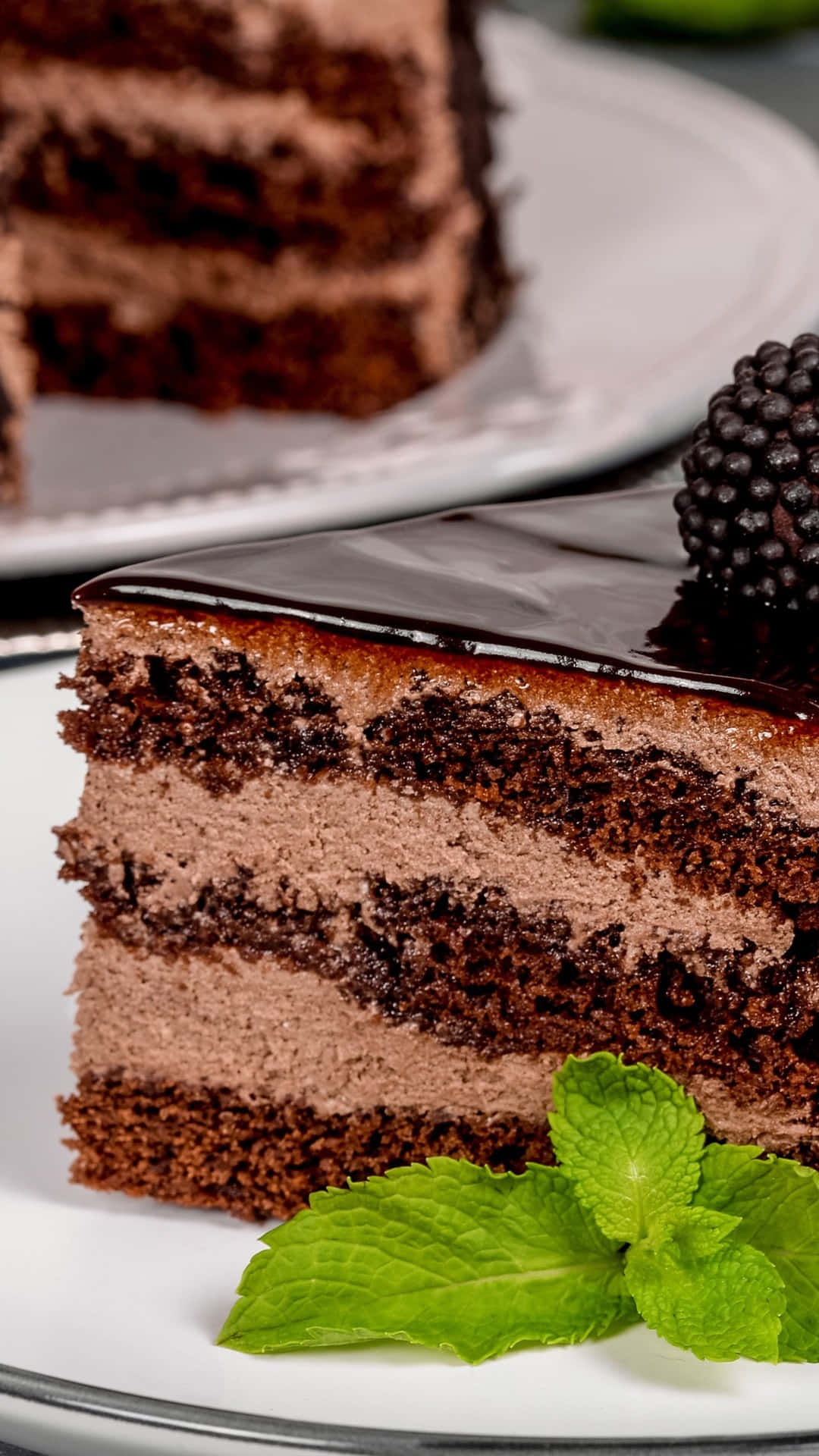 A Piece Of Chocolate Cake With Blackberries On A Plate Background