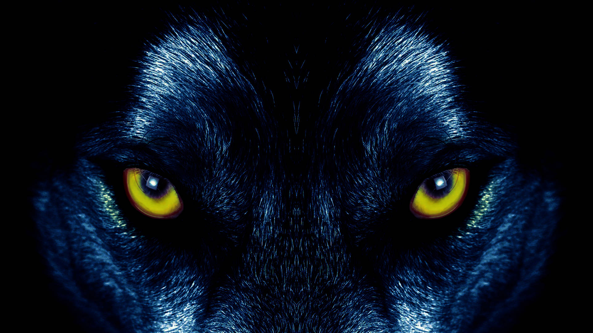 A Piercing Gaze Of A Yellow Wolf Background