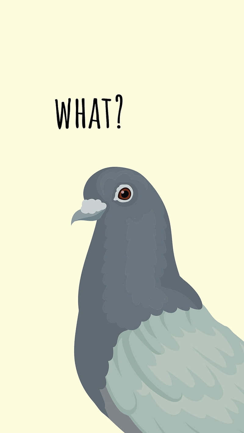 A Pigeon With The Words What? Background