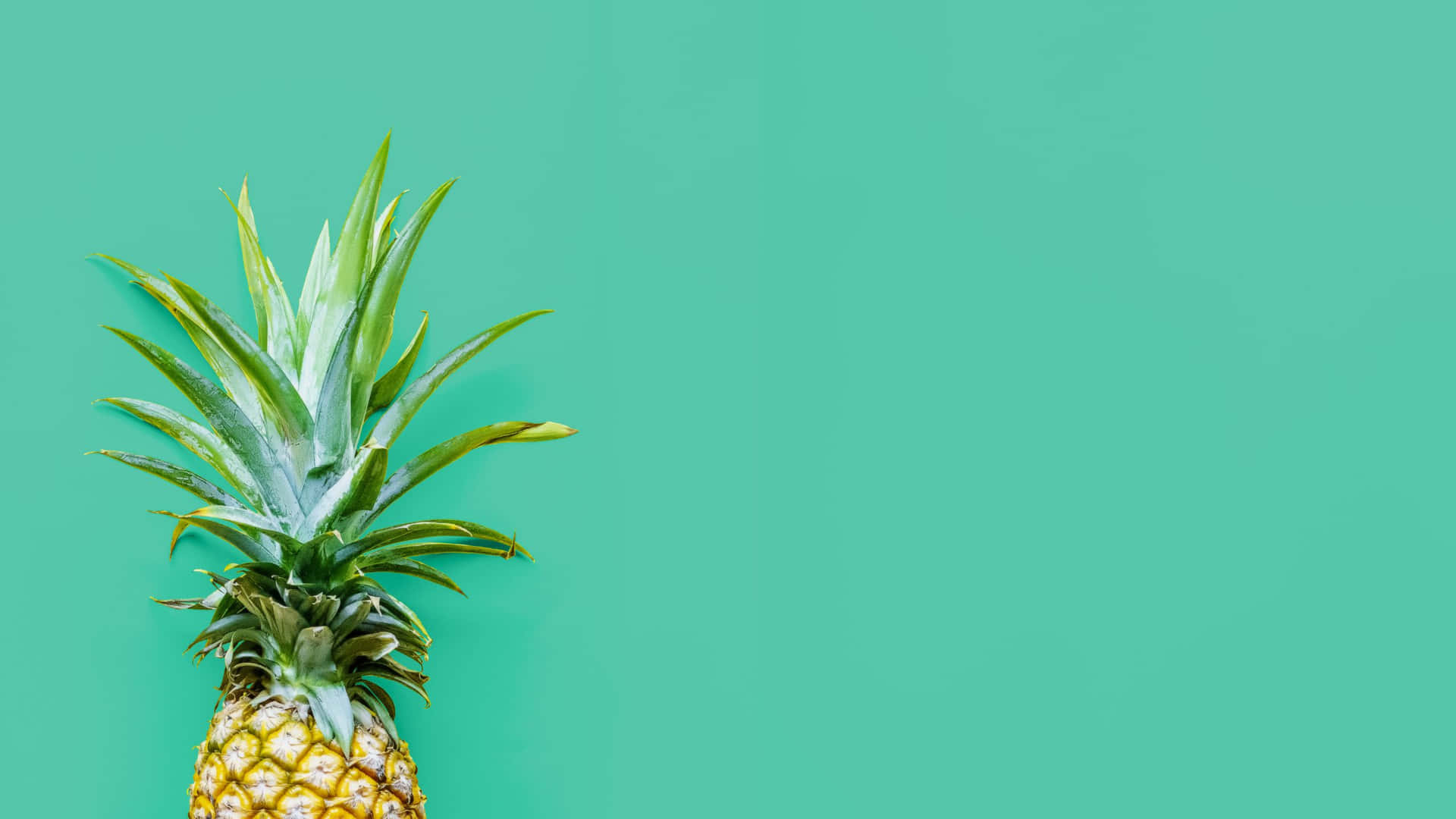 A Pineapple On A Turquoise Background Background